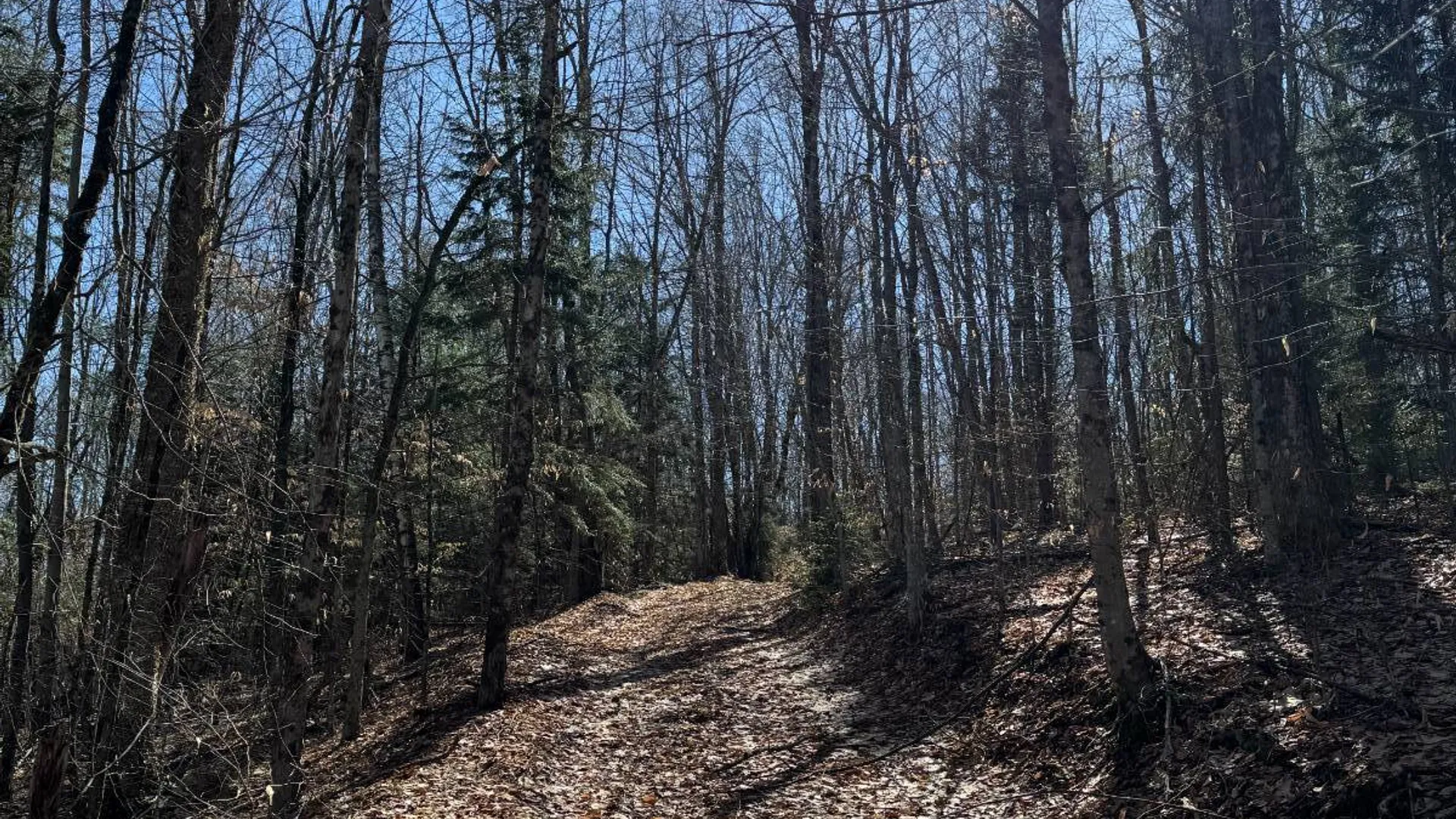 Property at 351 Center Road, Schenevus, NY 12155 16