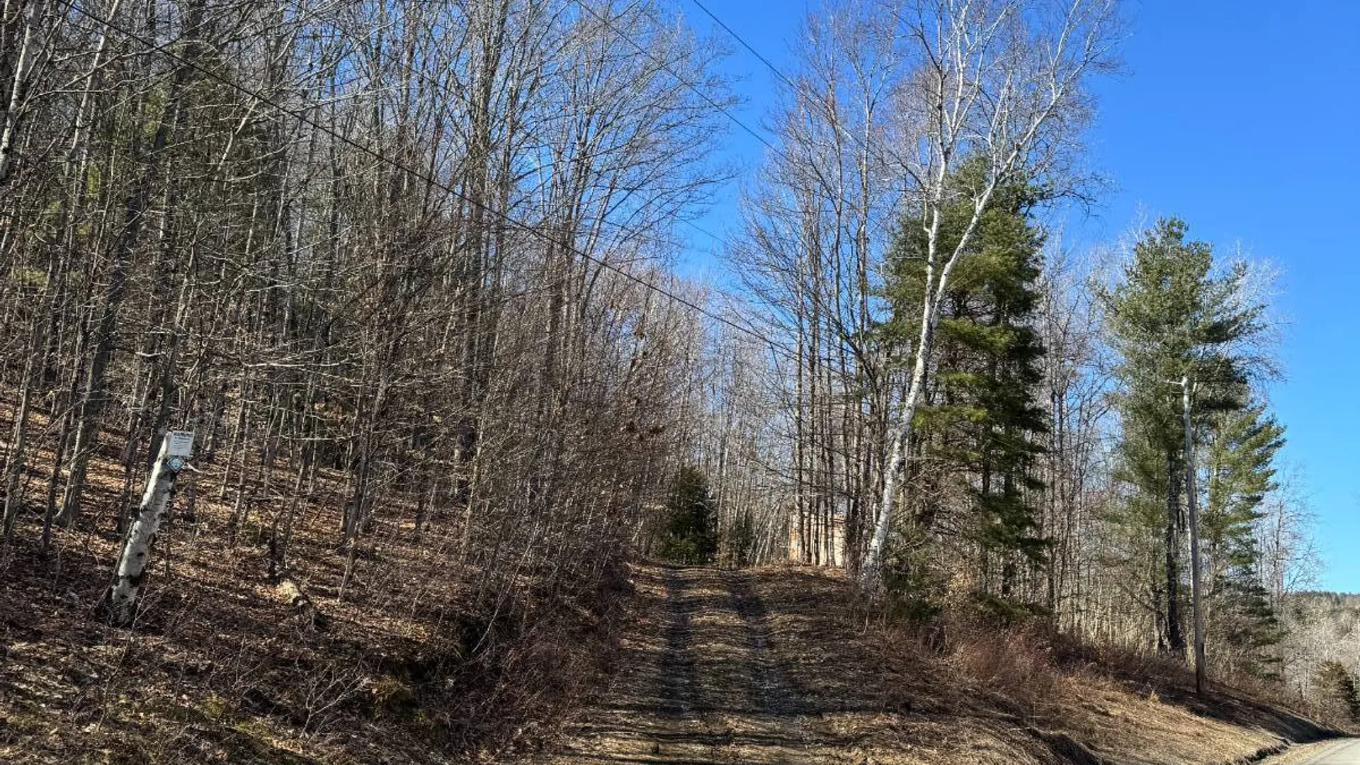 Property at 351 Center Road, Schenevus, NY 12155 21