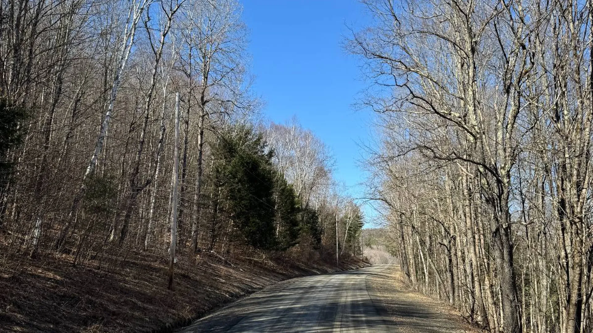 Property at 351 Center Road, Schenevus, NY 12155 22