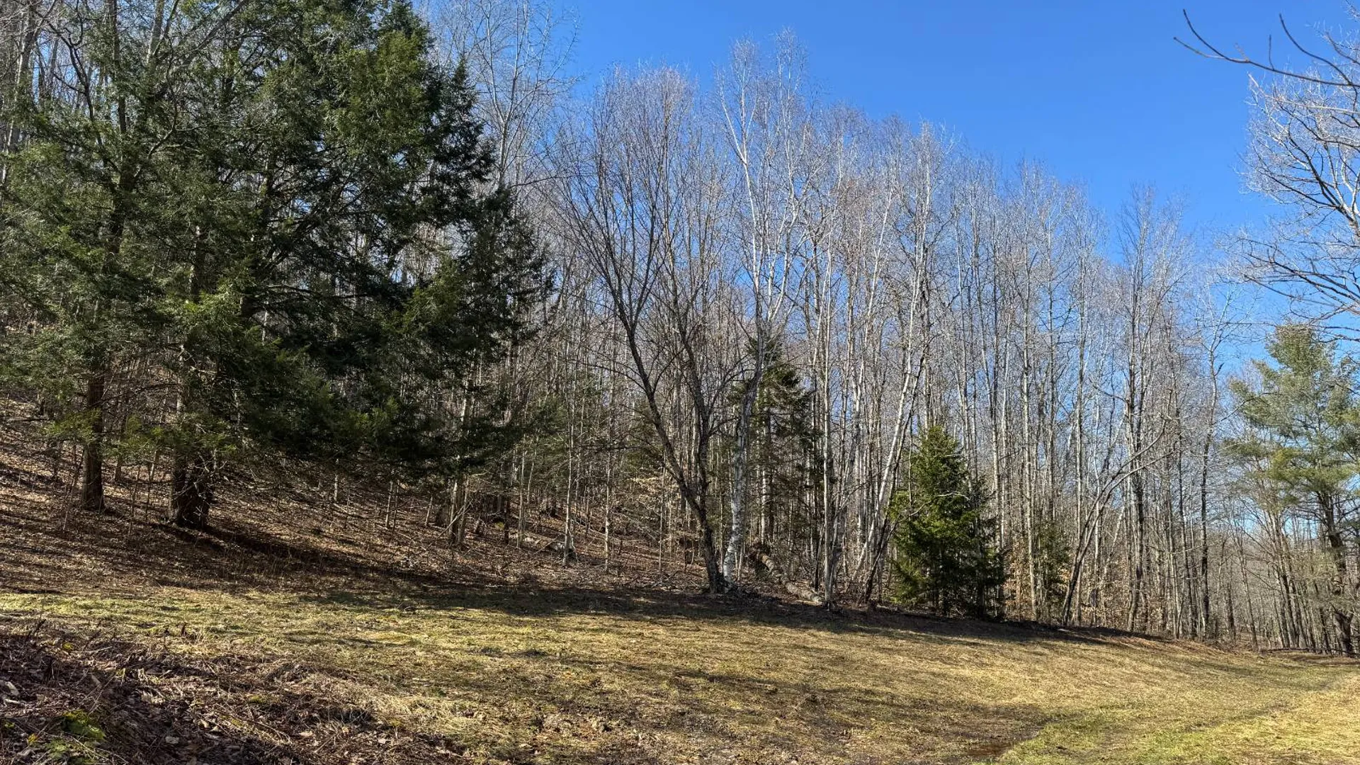 Property at 351 Center Road, Schenevus, NY 12155 4