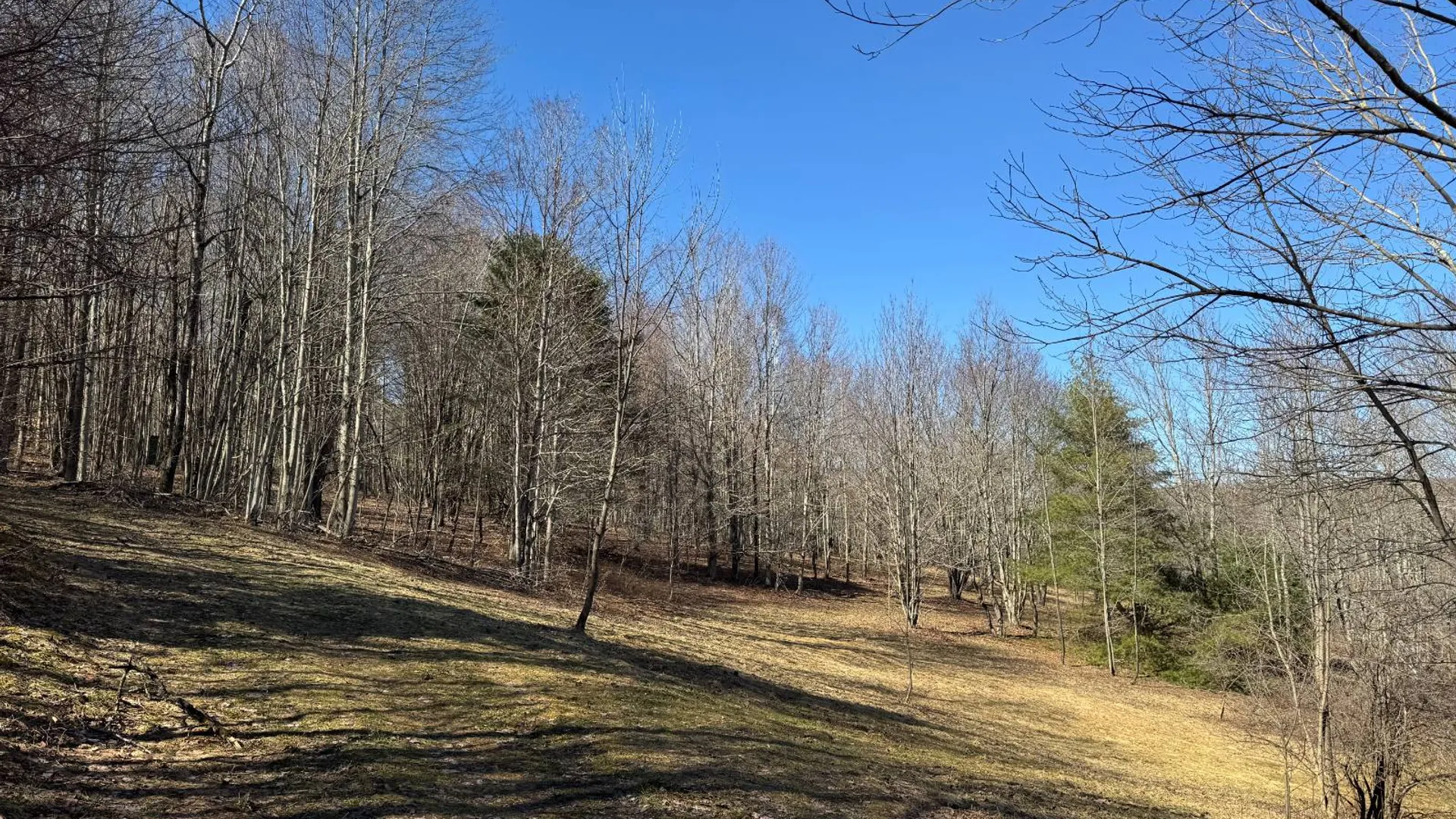 Property at 351 Center Road, Schenevus, NY 12155 5