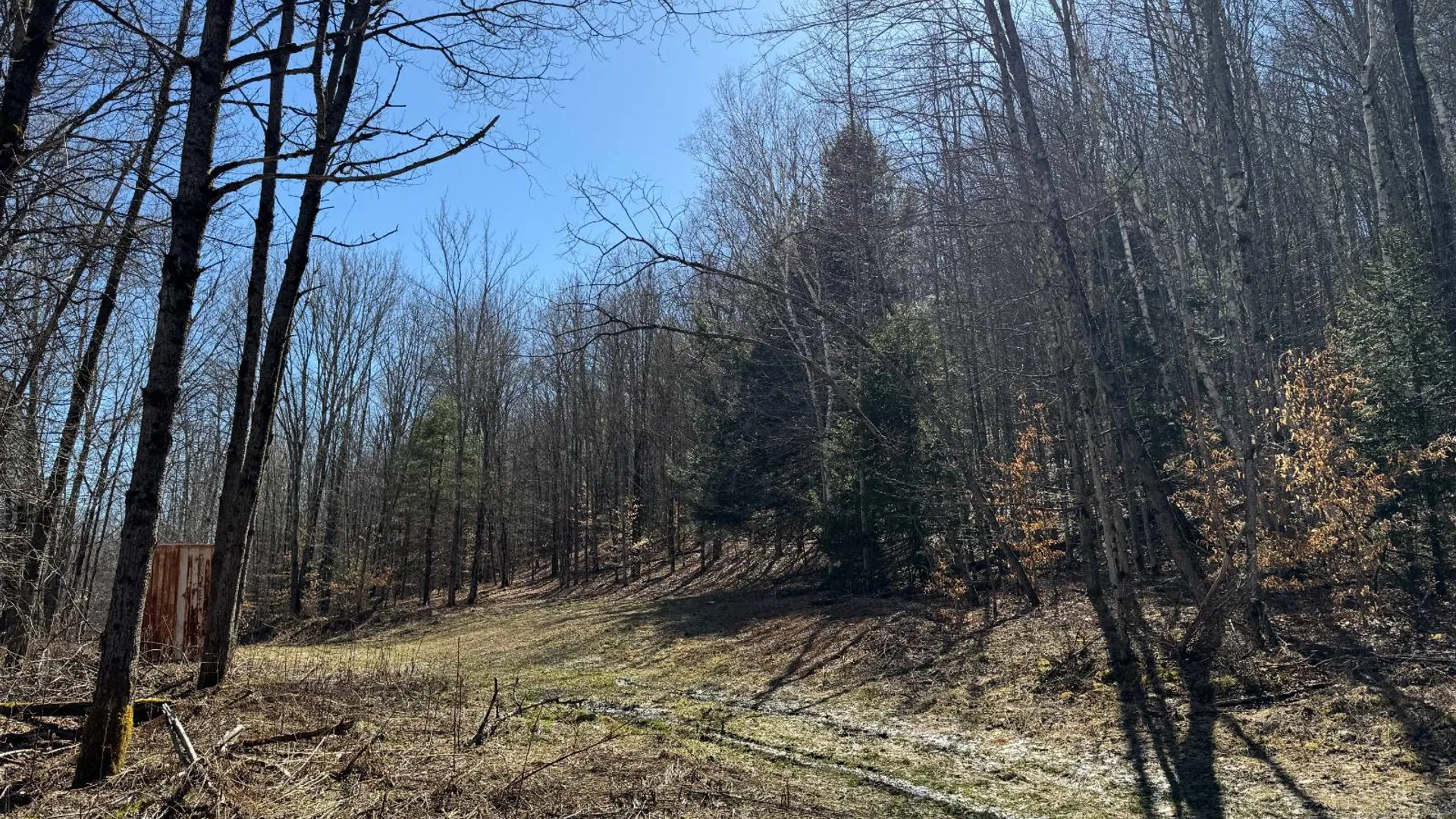 Property at 351 Center Road, Schenevus, NY 12155 6