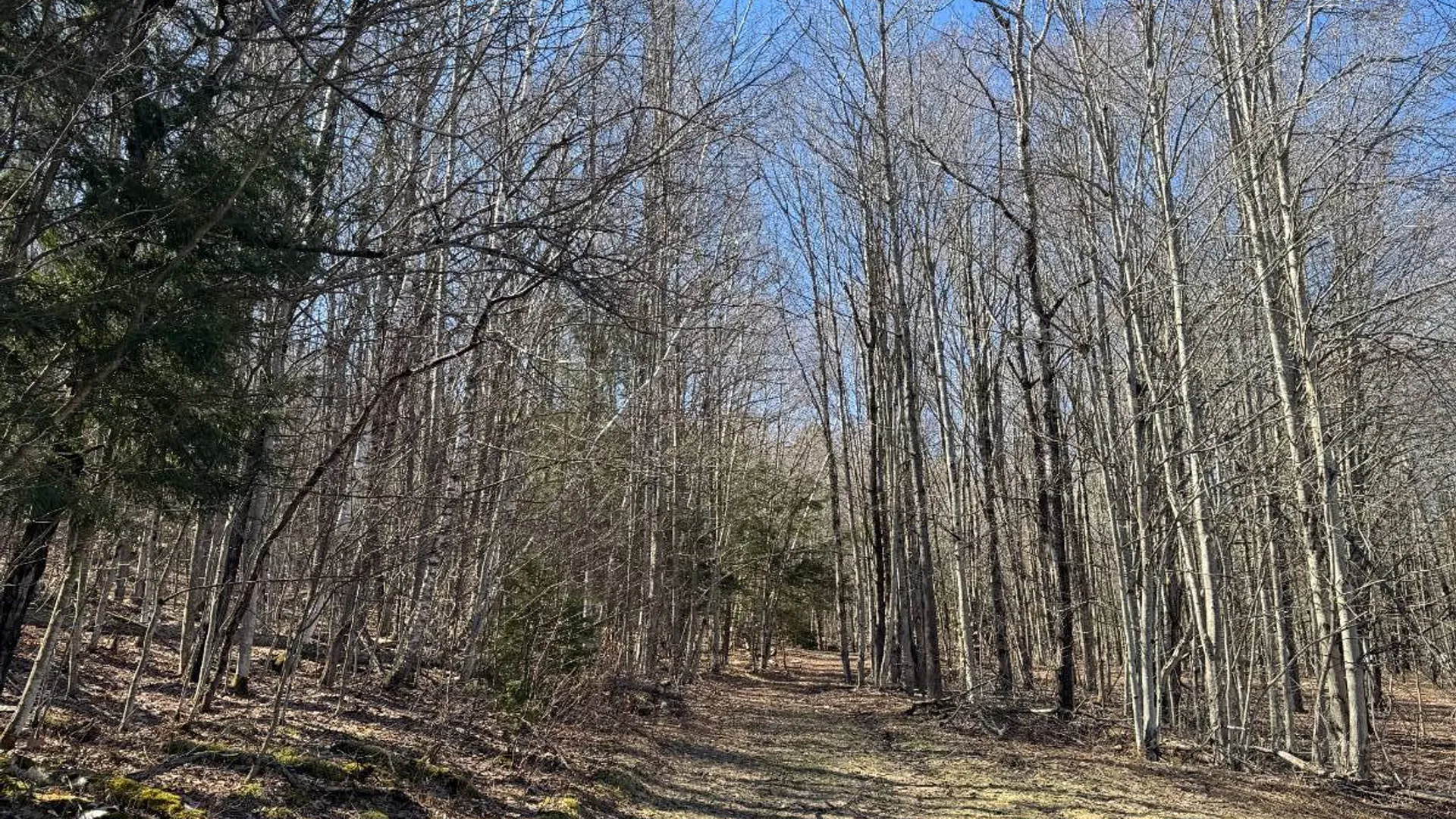 Property at 351 Center Road, Schenevus, NY 12155 7