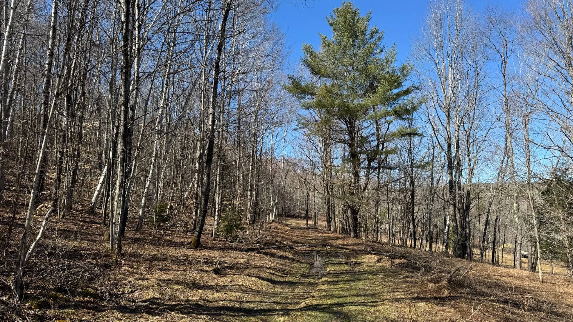 Property at 351 Center Road, Schenevus, NY 12155 8