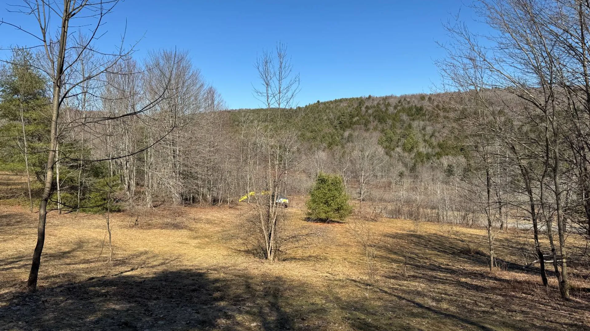 Property at 351 Center Road, Schenevus, NY 12155 9