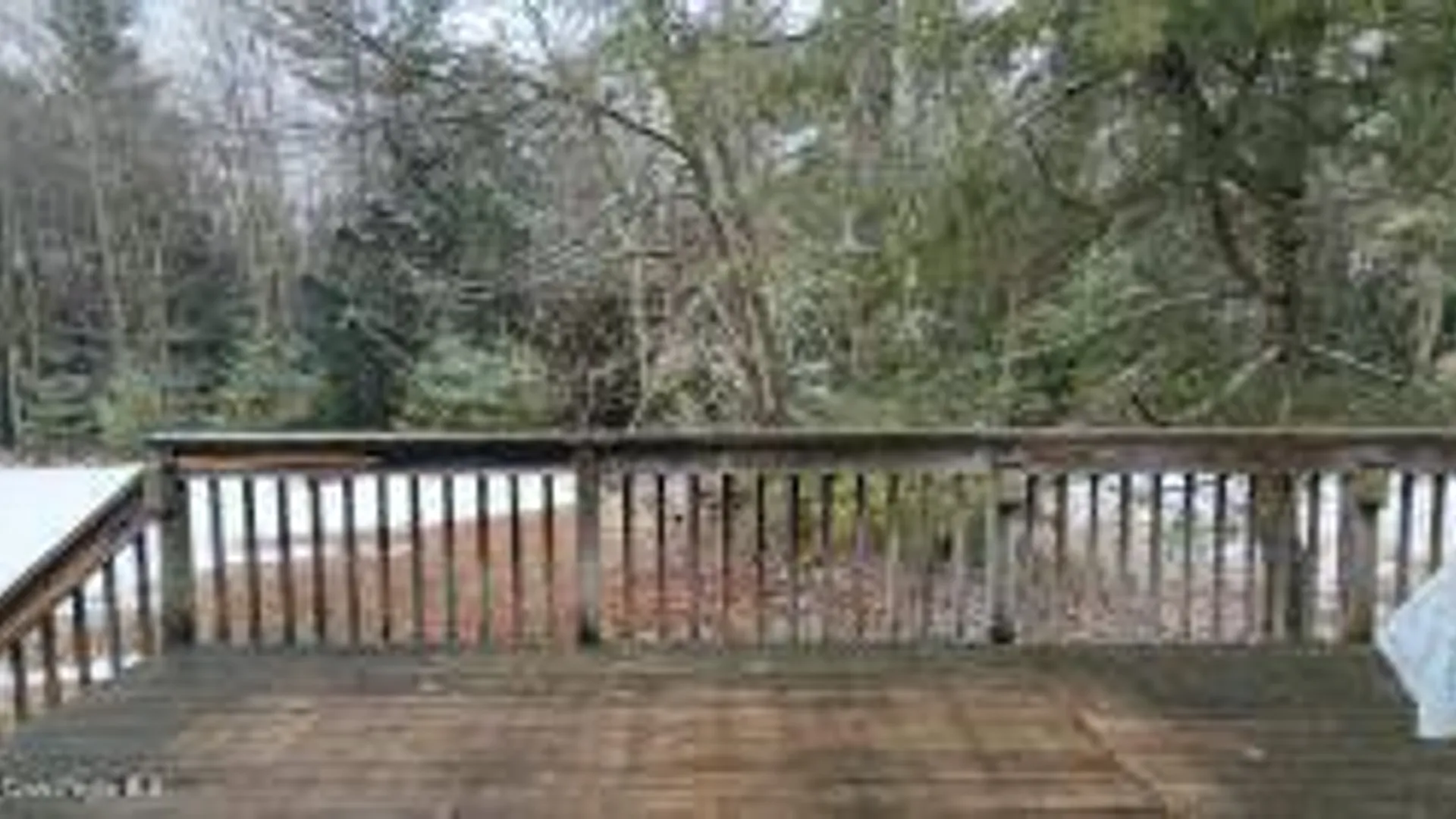 Property at 315 Begley Rd, Windham, NY 12496 17