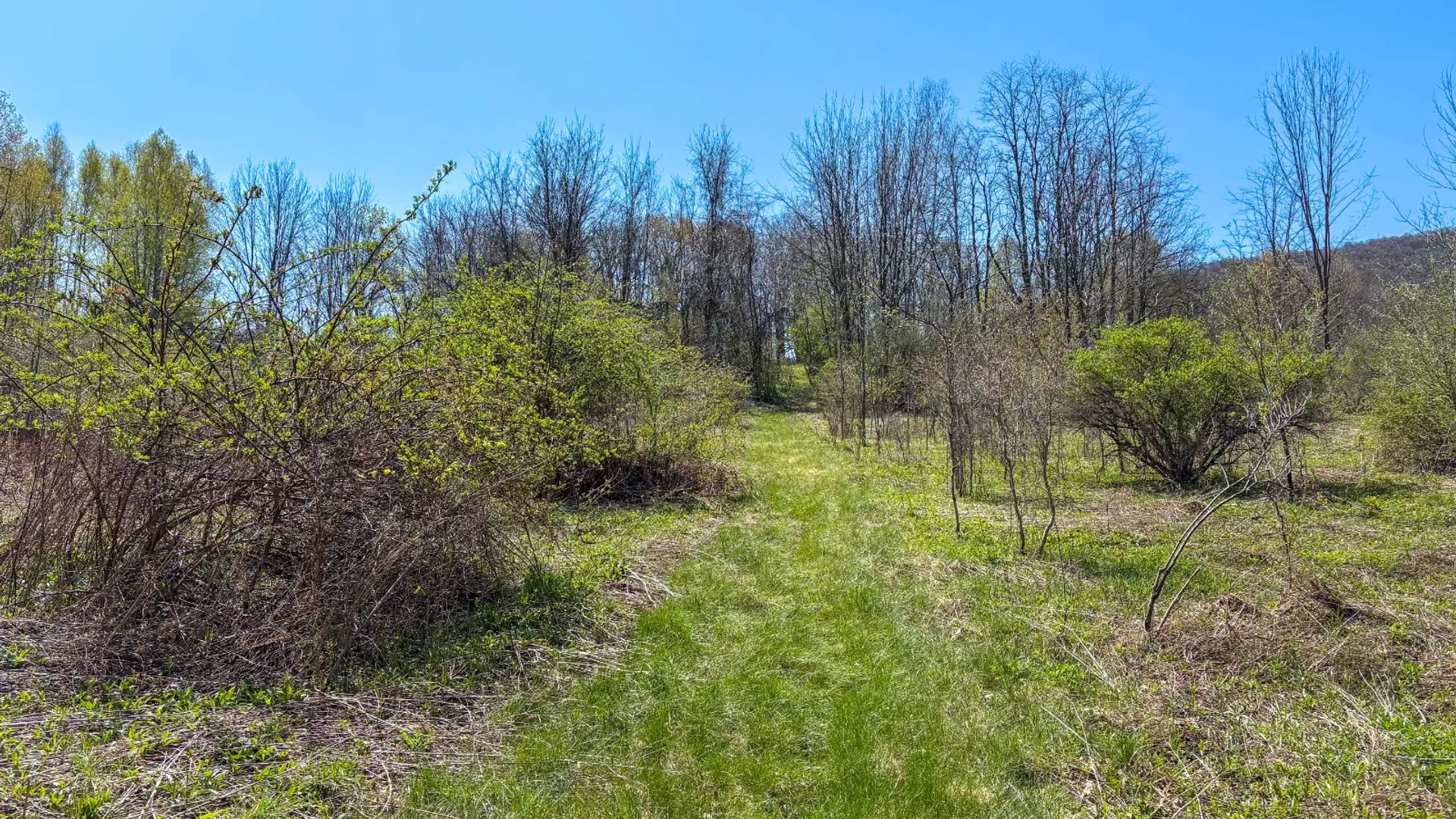 Property at 0 East River Rd, Walton, NY 13856 10