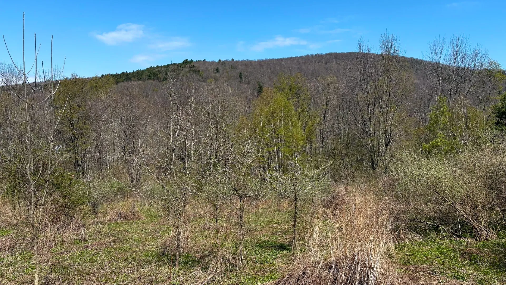 Property at 0 East River Rd, Walton, NY 13856 11