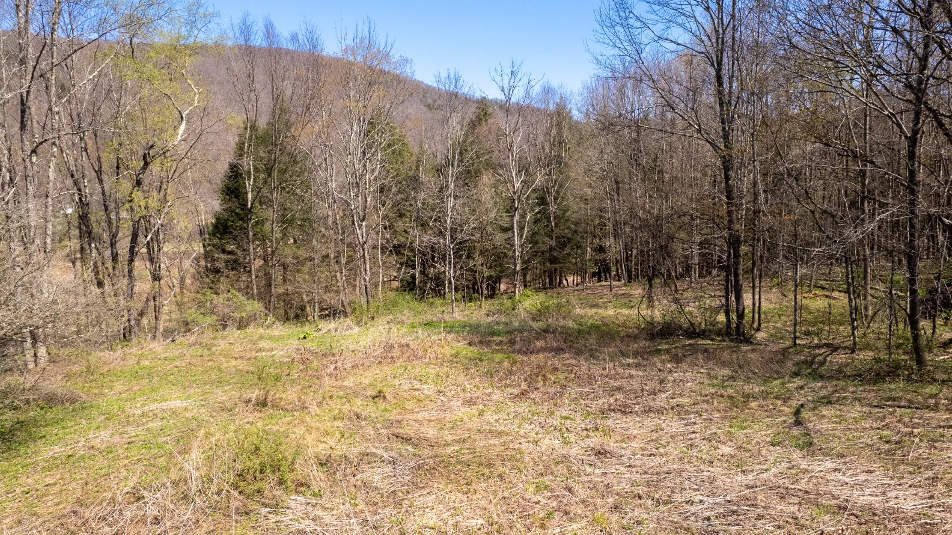 Property at 0 East River Rd, Walton, NY 13856 12