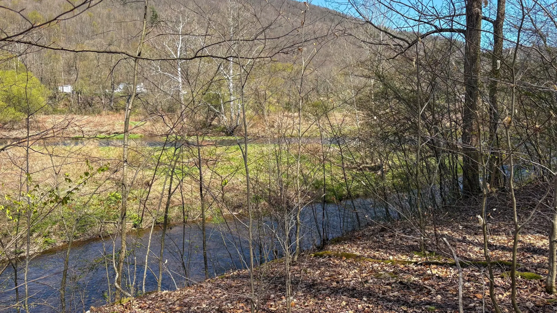 Property at 0 East River Rd, Walton, NY 13856 13