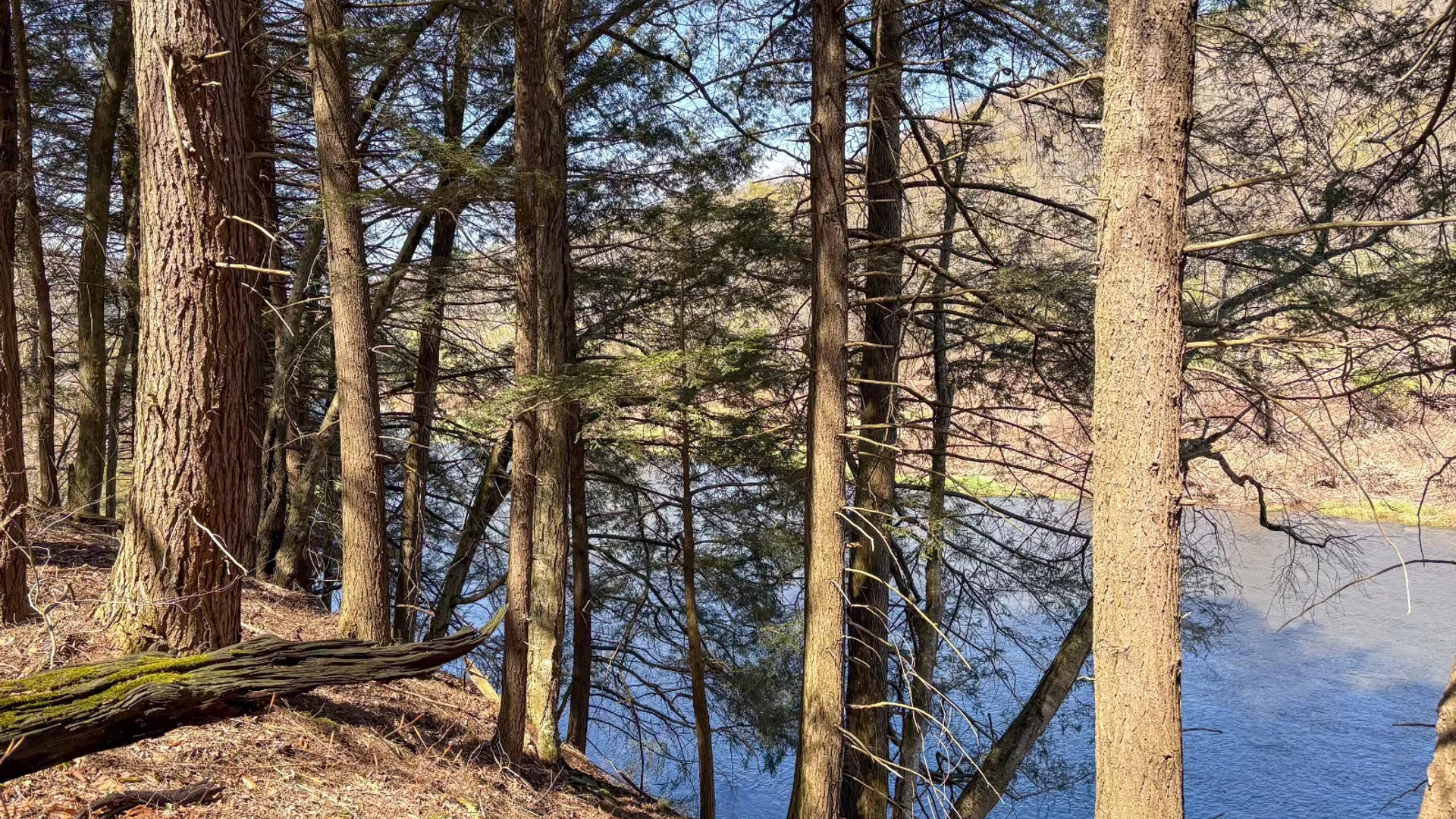 Property at 0 East River Rd, Walton, NY 13856 14