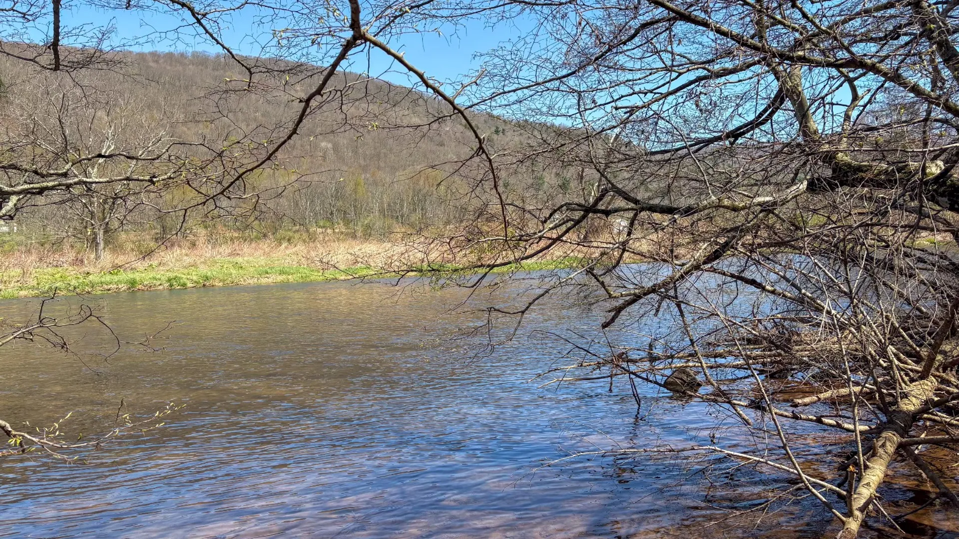 Property at 0 East River Rd, Walton, NY 13856 15