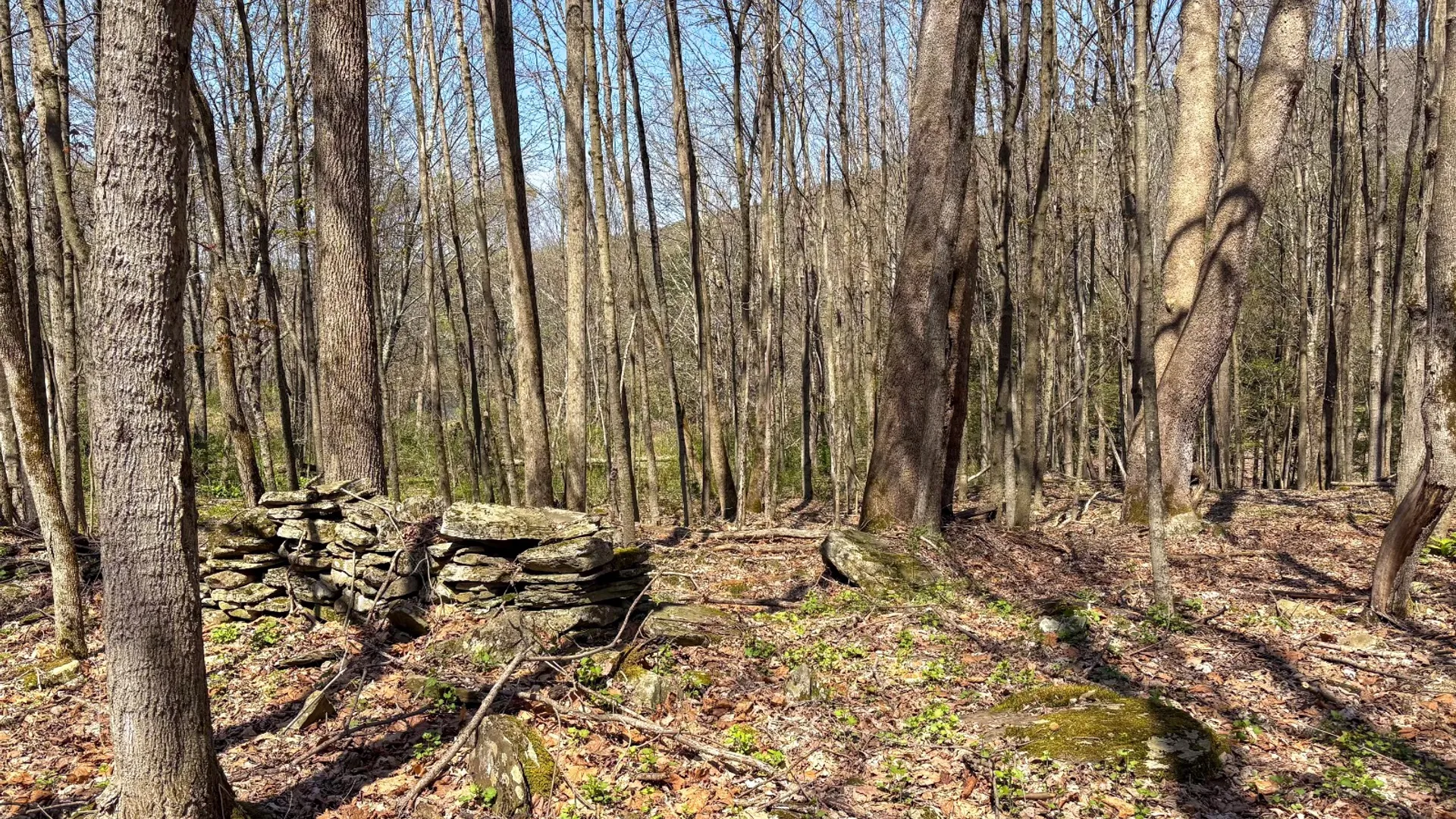 Property at 0 East River Rd, Walton, NY 13856 17