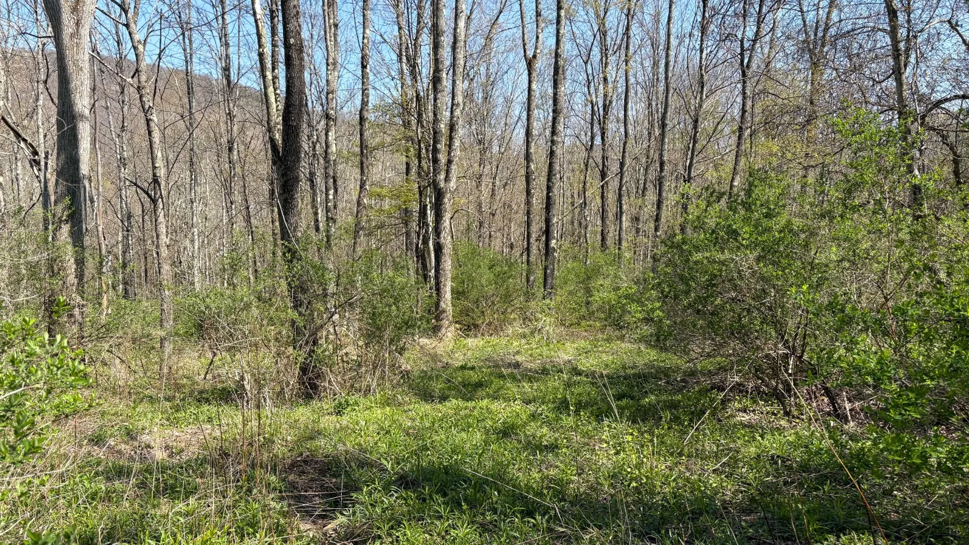 Property at 0 East River Rd, Walton, NY 13856 19