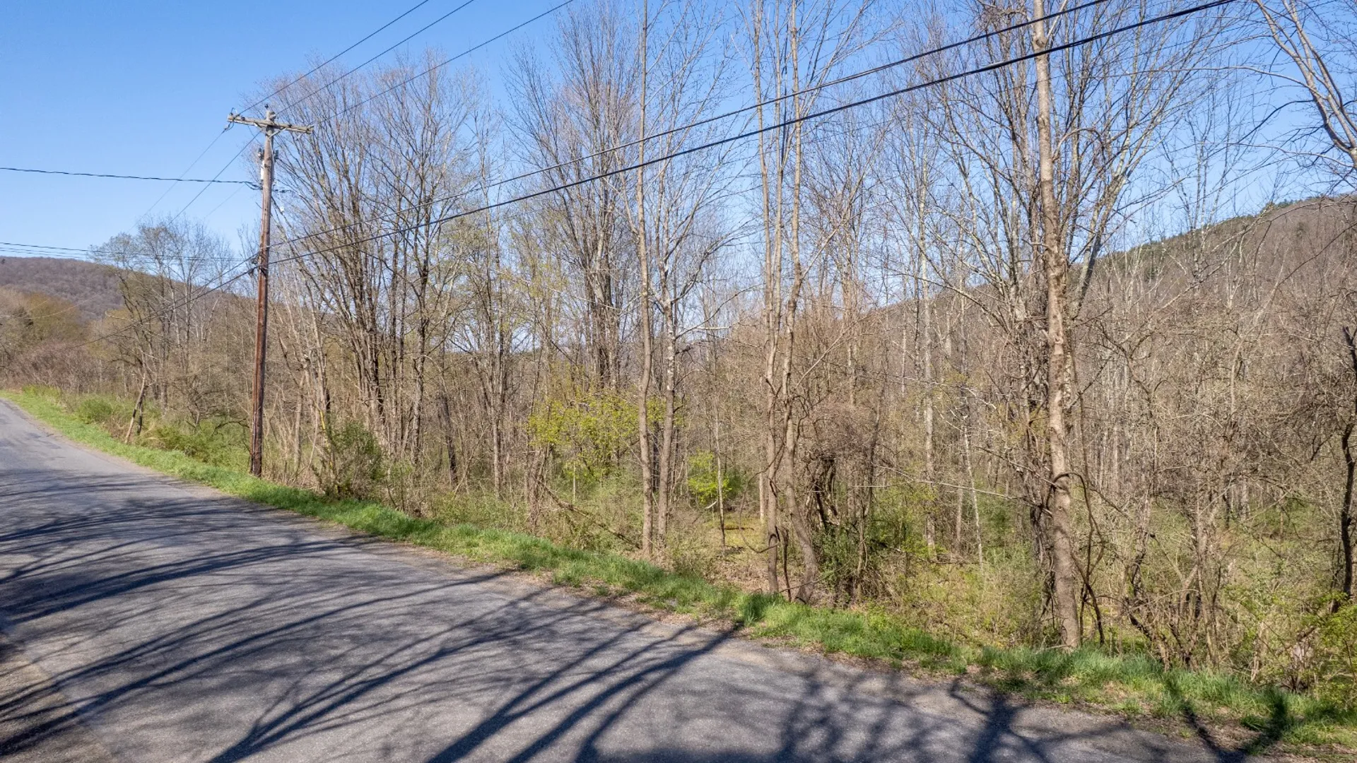 Property at 0 East River Rd, Walton, NY 13856 21