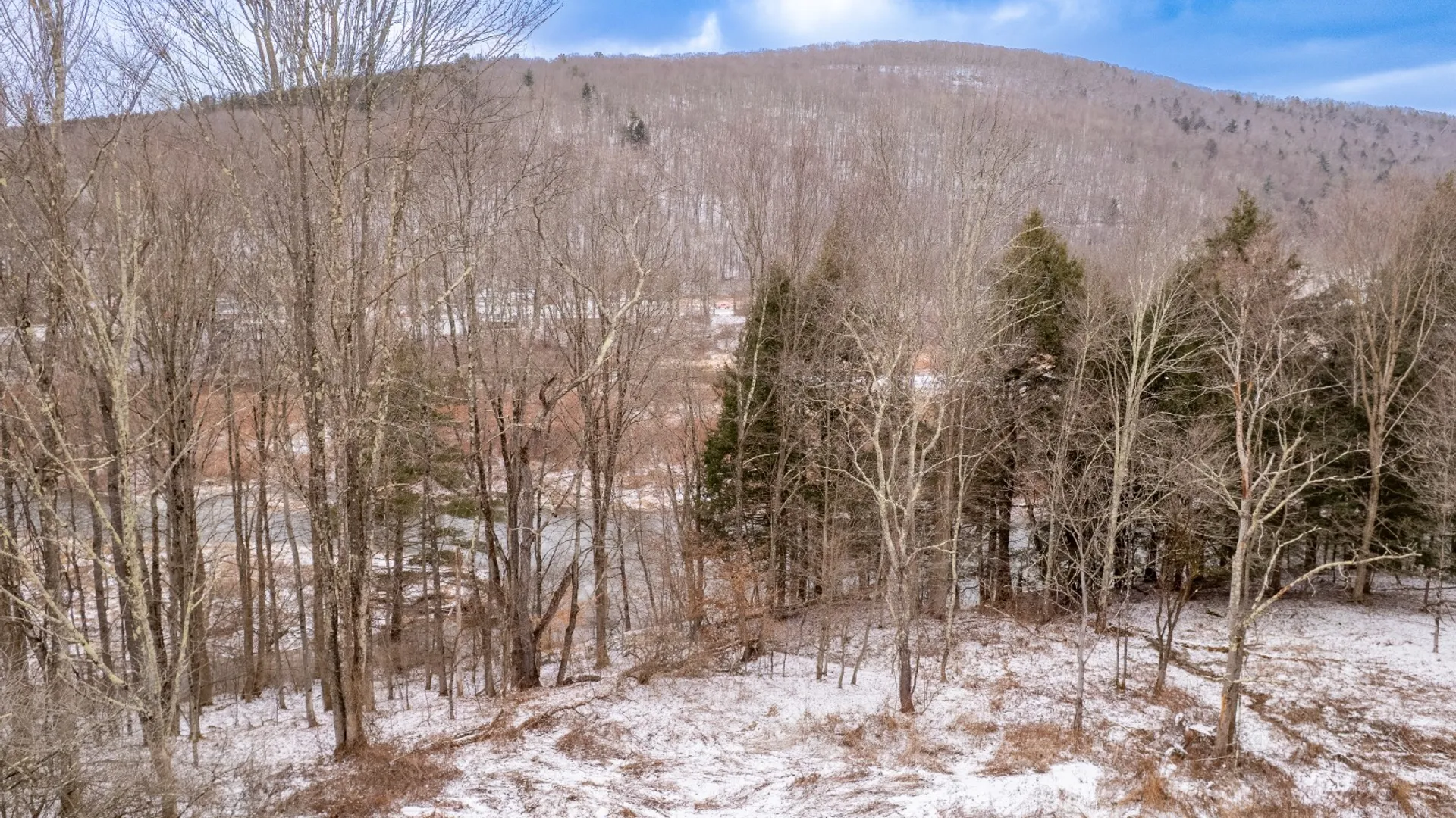 Property at 0 East River Rd, Walton, NY 13856 3