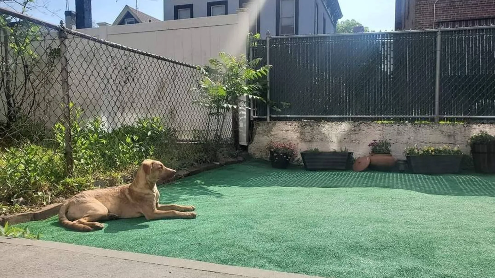Property at 41-33 55st, Woodside, NY 11377 9