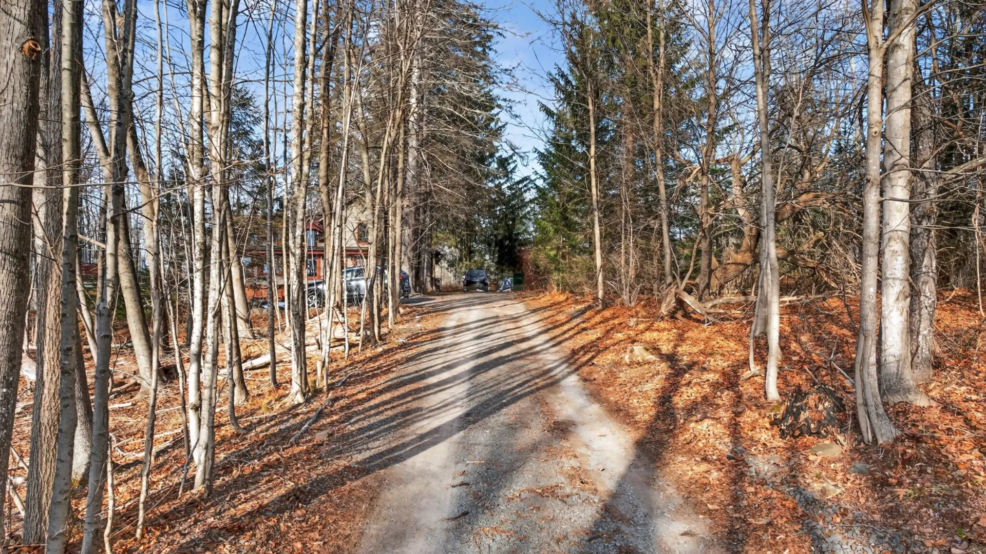 Property at 21 Garfield Ave, Hunter, NY 12442 5