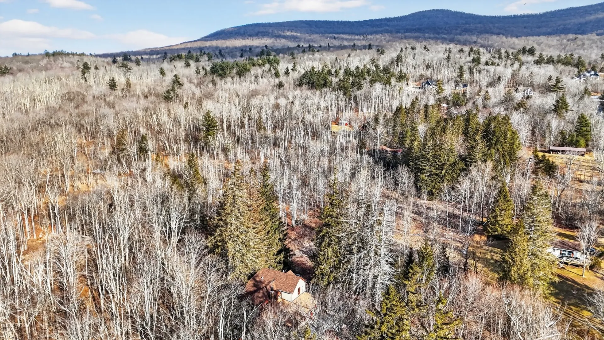 Property at 21 Garfield Ave, Hunter, NY 12442 9