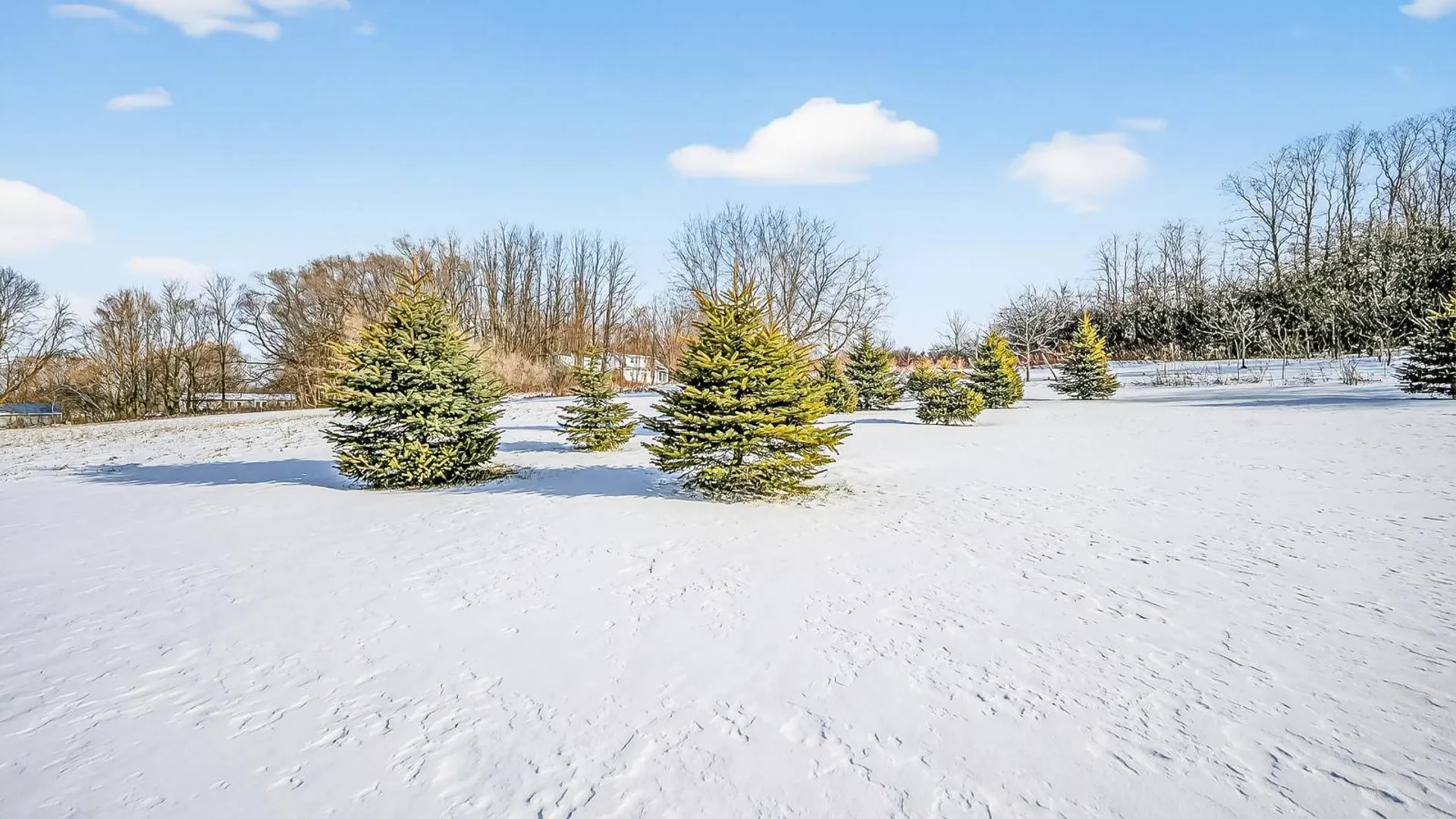 Property at 6133 Tanner Rd, Augusta, NY 13425 79