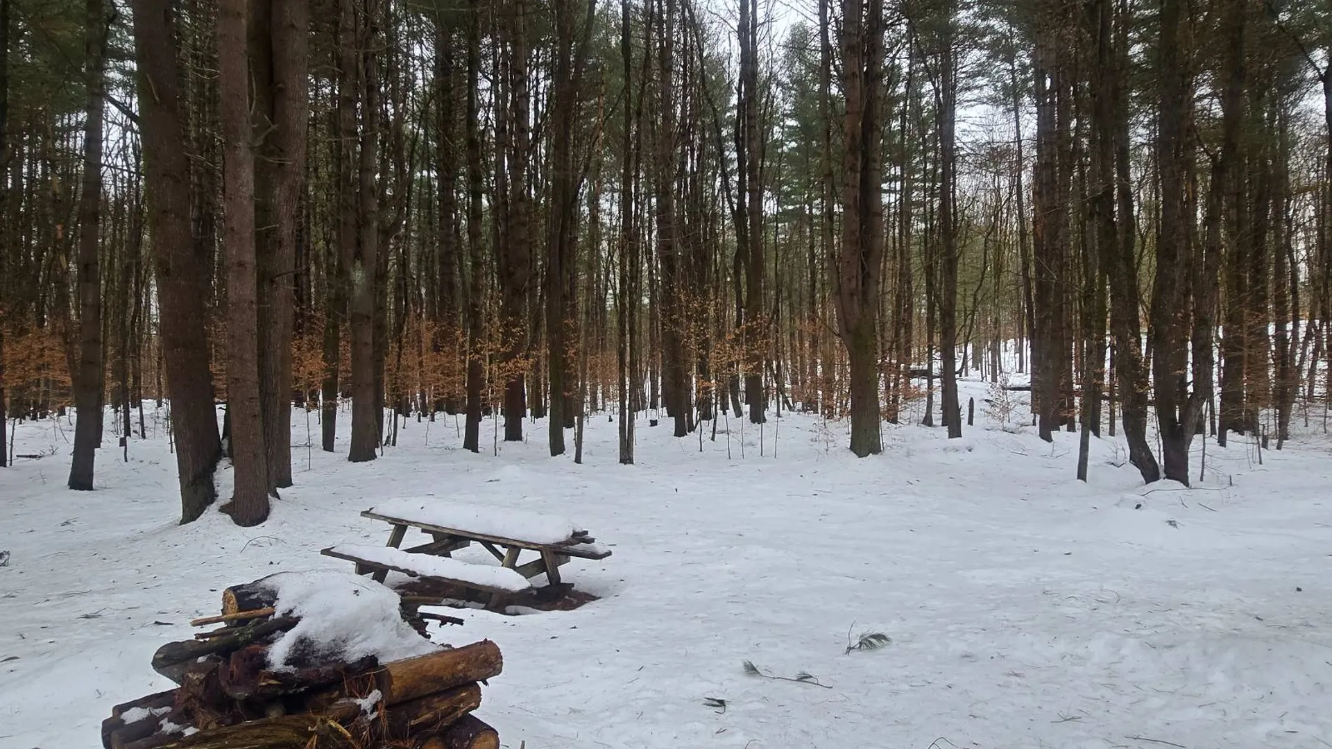 Property at 302 Dutcherville Rd, Constantia, NY 13044 13