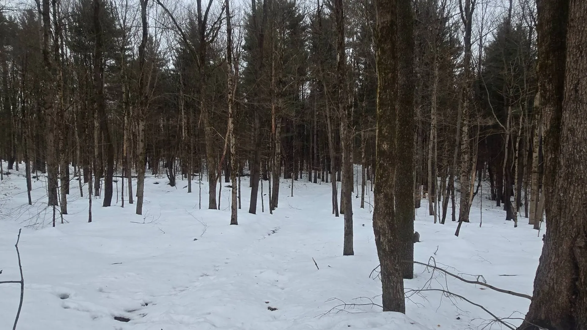 Property at 302 Dutcherville Rd, Constantia, NY 13044 21