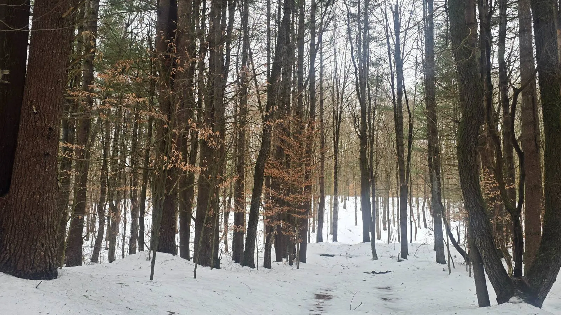 Property at 302 Dutcherville Rd, Constantia, NY 13044 32