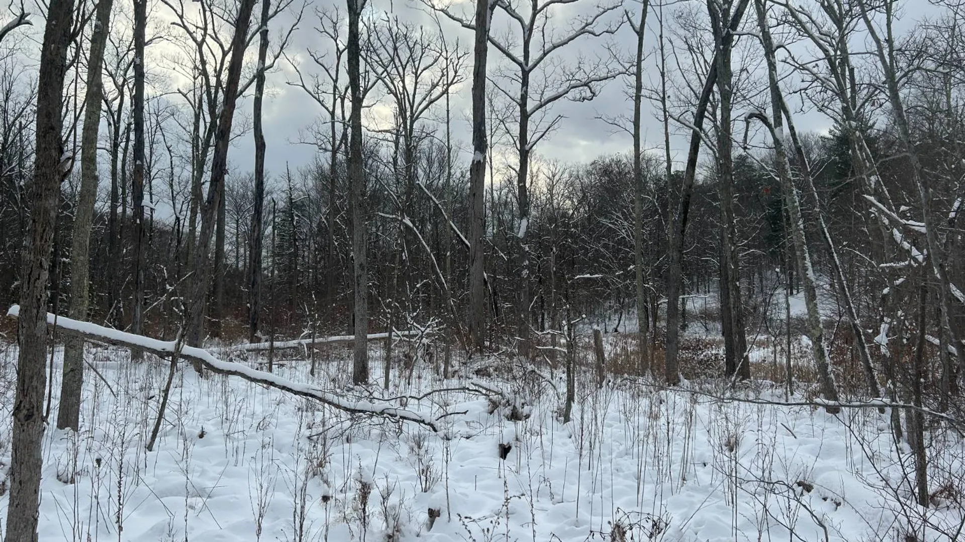 Property at L16 Route 52, Pine Bush, NY 12566 11