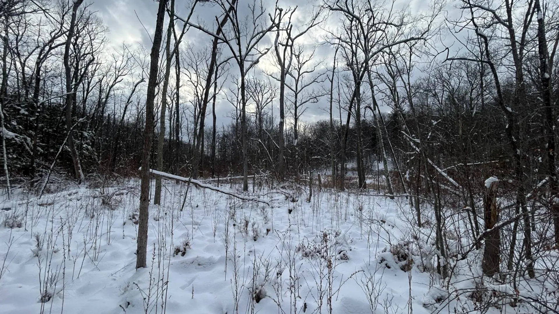 Property at L16 Route 52, Pine Bush, NY 12566 12