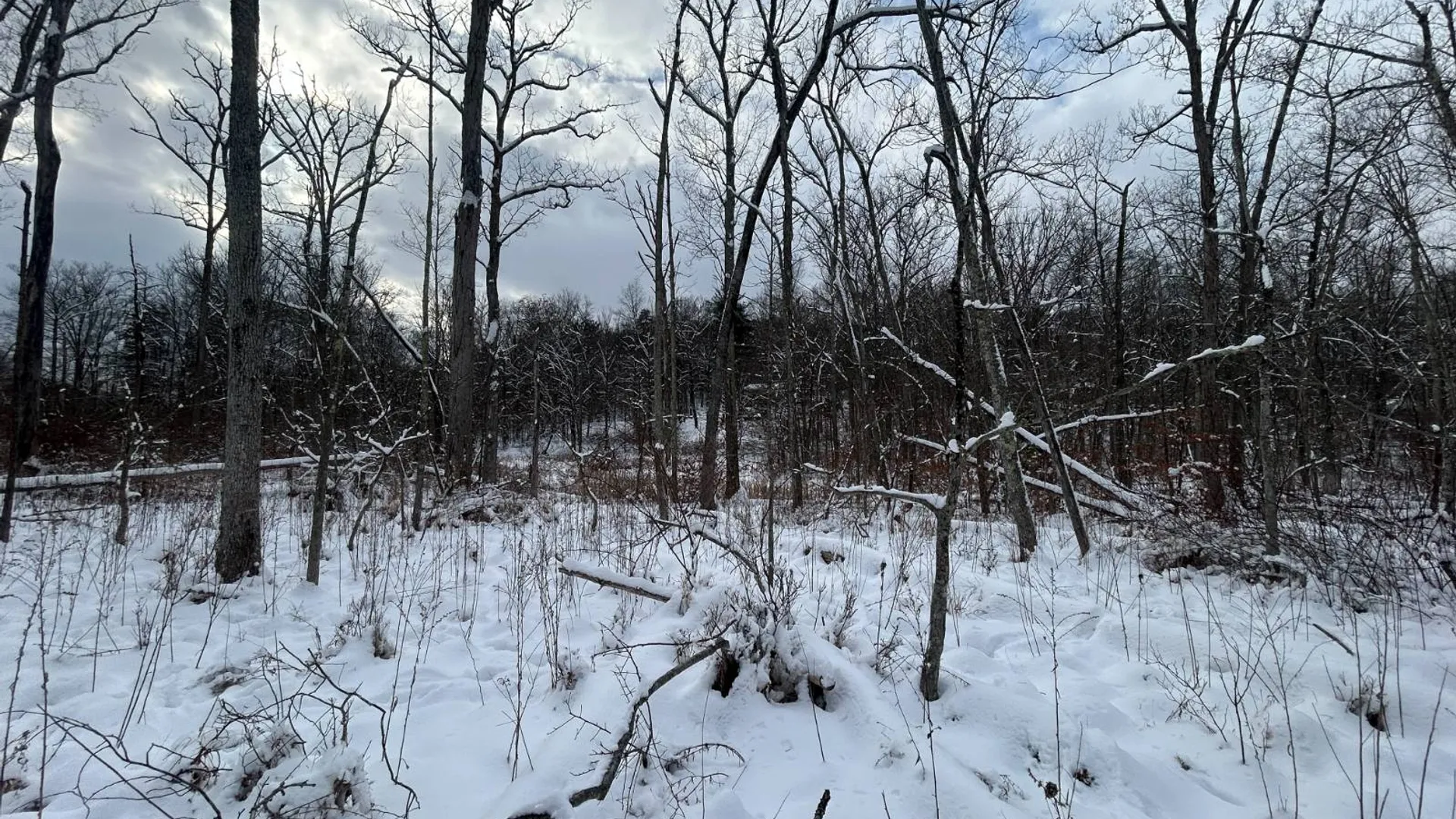Property at L16 Route 52, Pine Bush, NY 12566 13