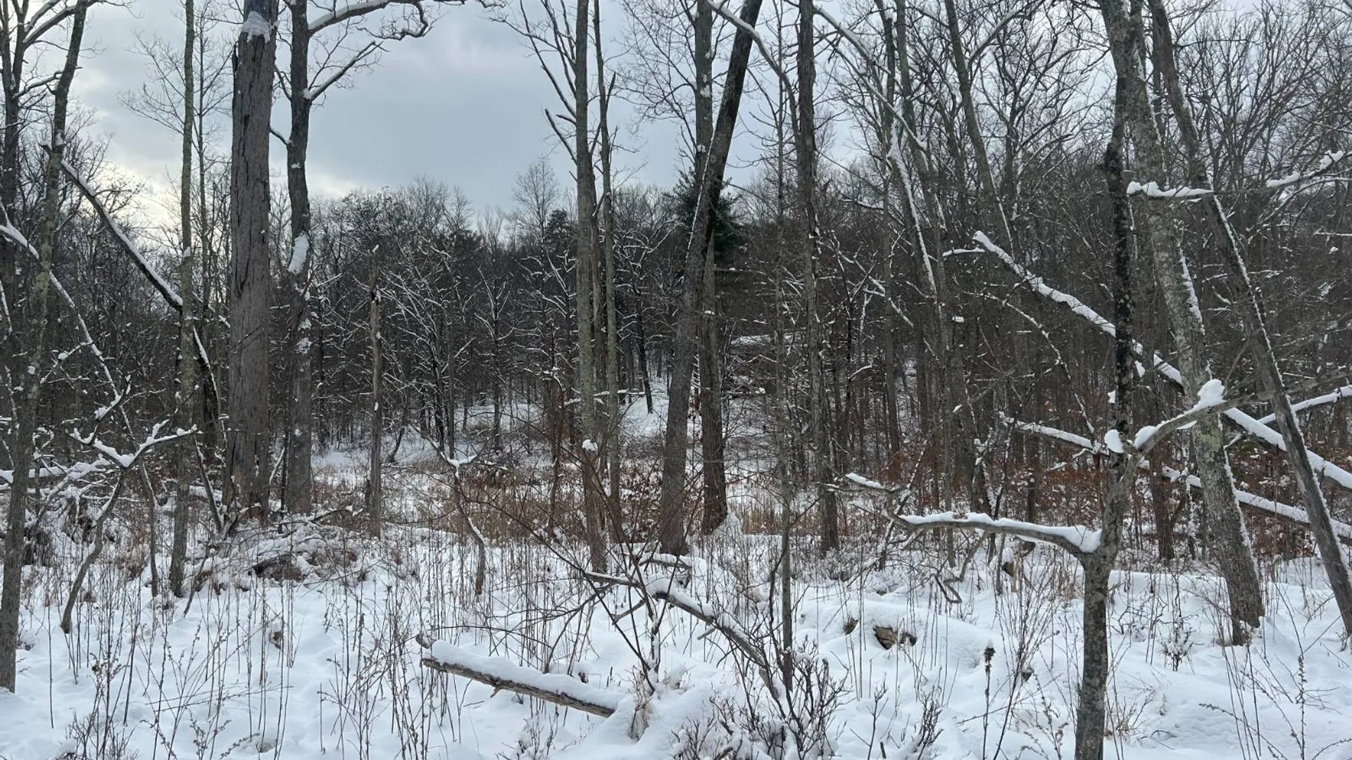 Property at L16 Route 52, Pine Bush, NY 12566 14