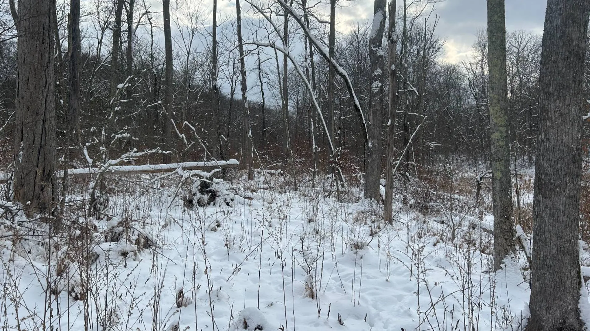 Property at L16 Route 52, Pine Bush, NY 12566 15