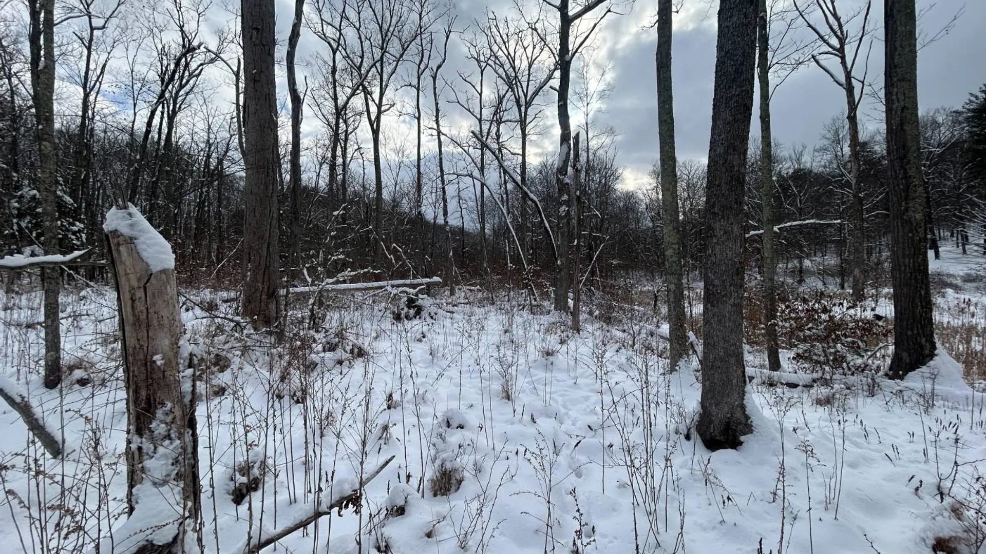 Property at L16 Route 52, Pine Bush, NY 12566 16