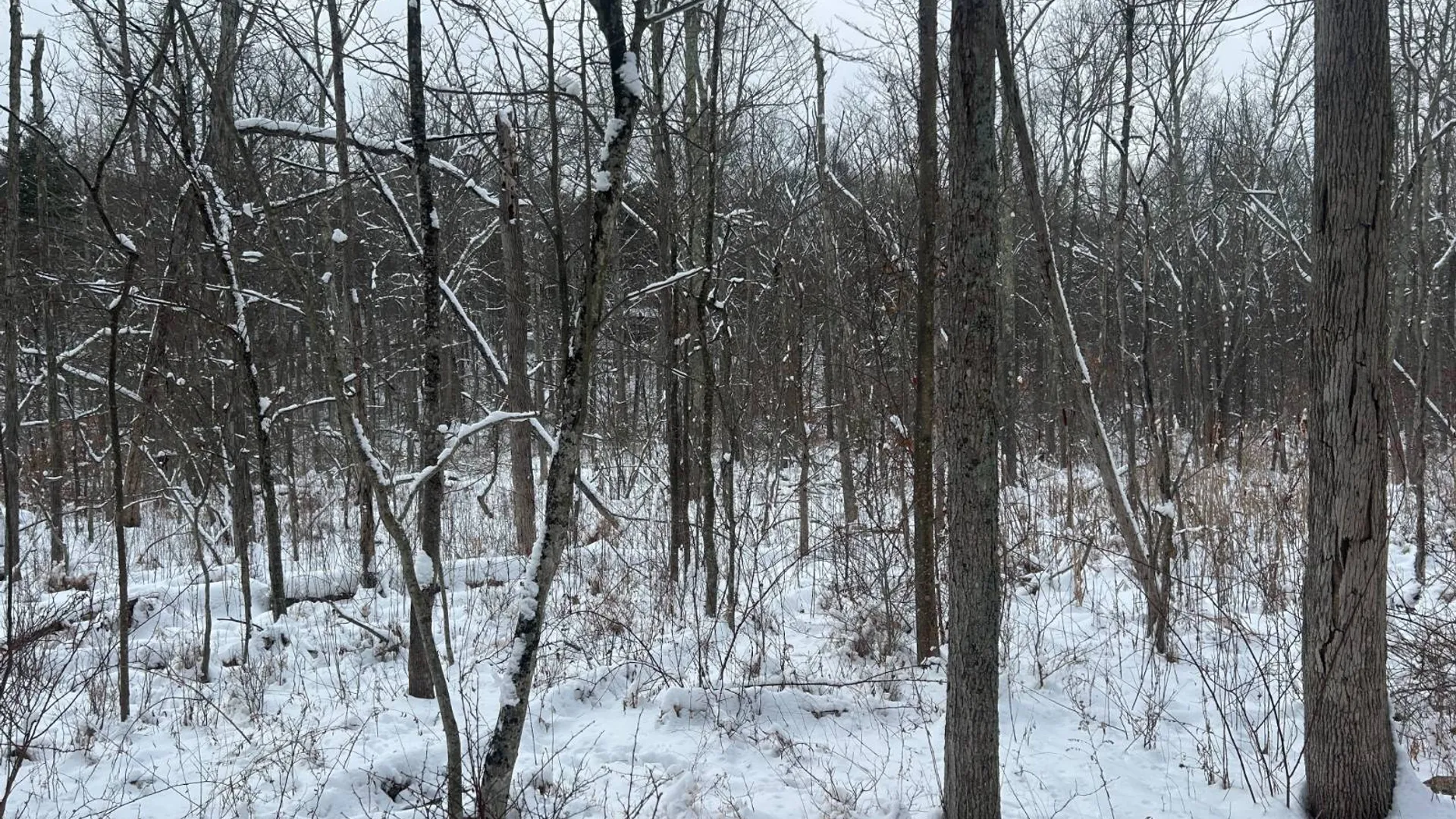 Property at L16 Route 52, Pine Bush, NY 12566 6