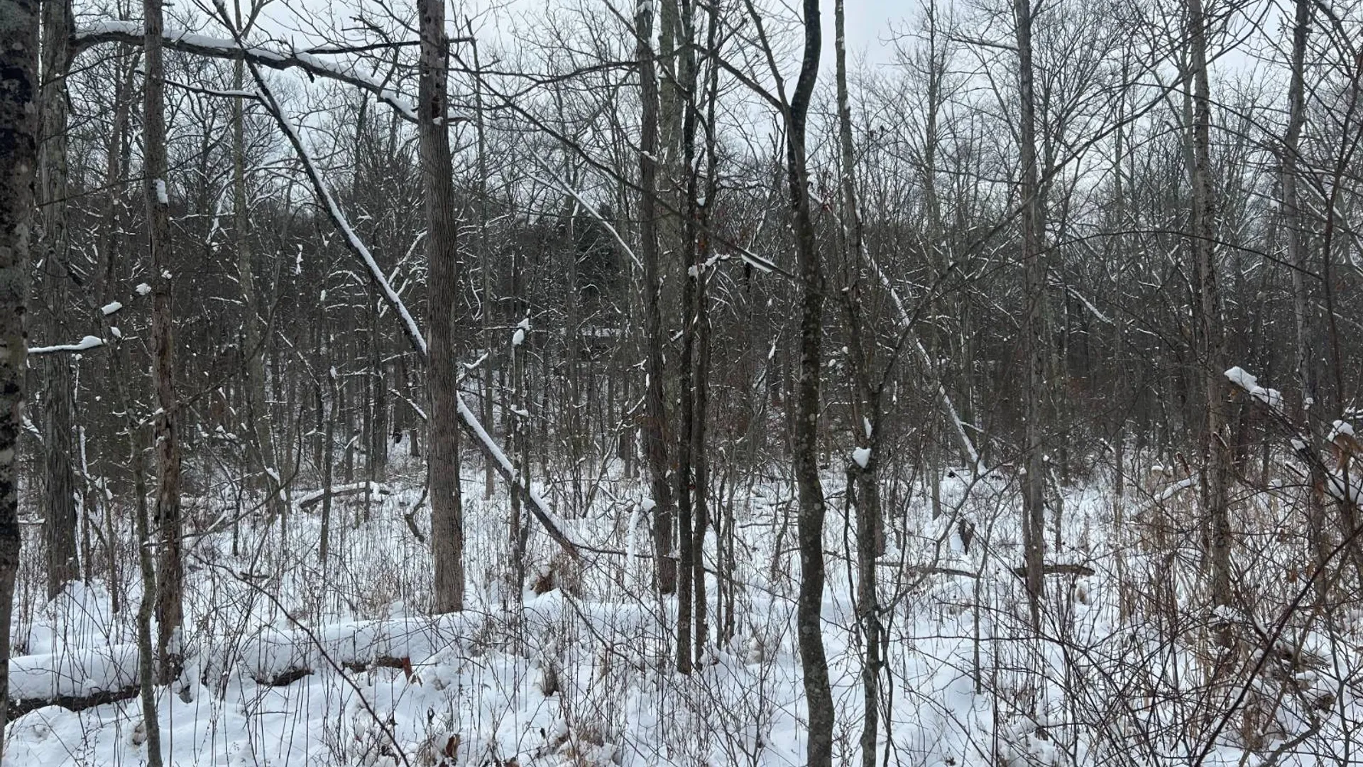 Property at L16 Route 52, Pine Bush, NY 12566 7