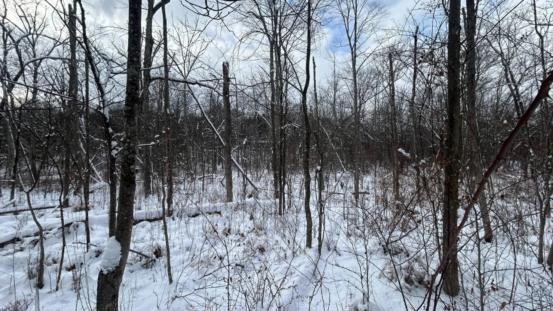 Property at L16 Route 52, Pine Bush, NY 12566 8