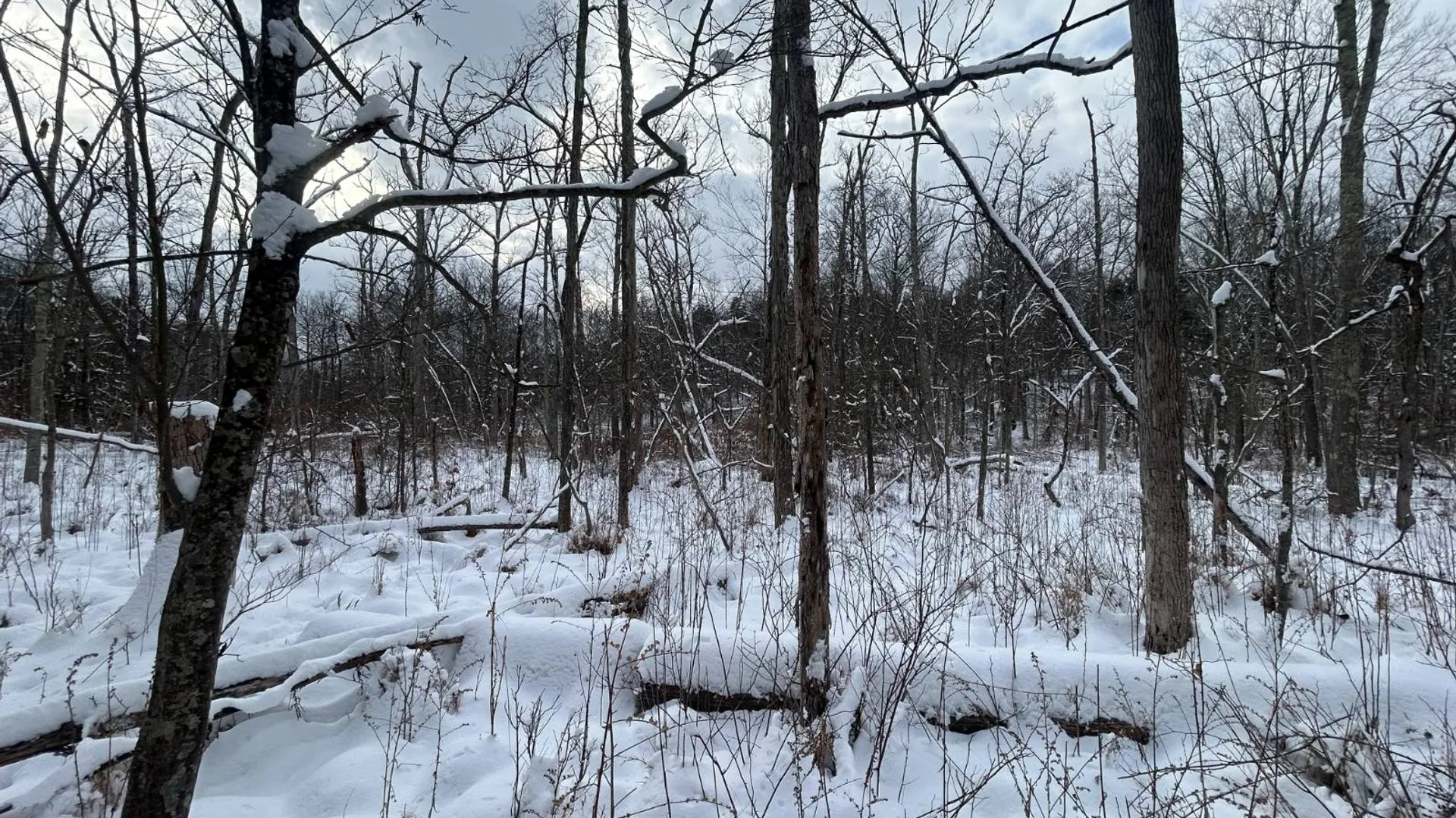 Property at L16 Route 52, Pine Bush, NY 12566 9