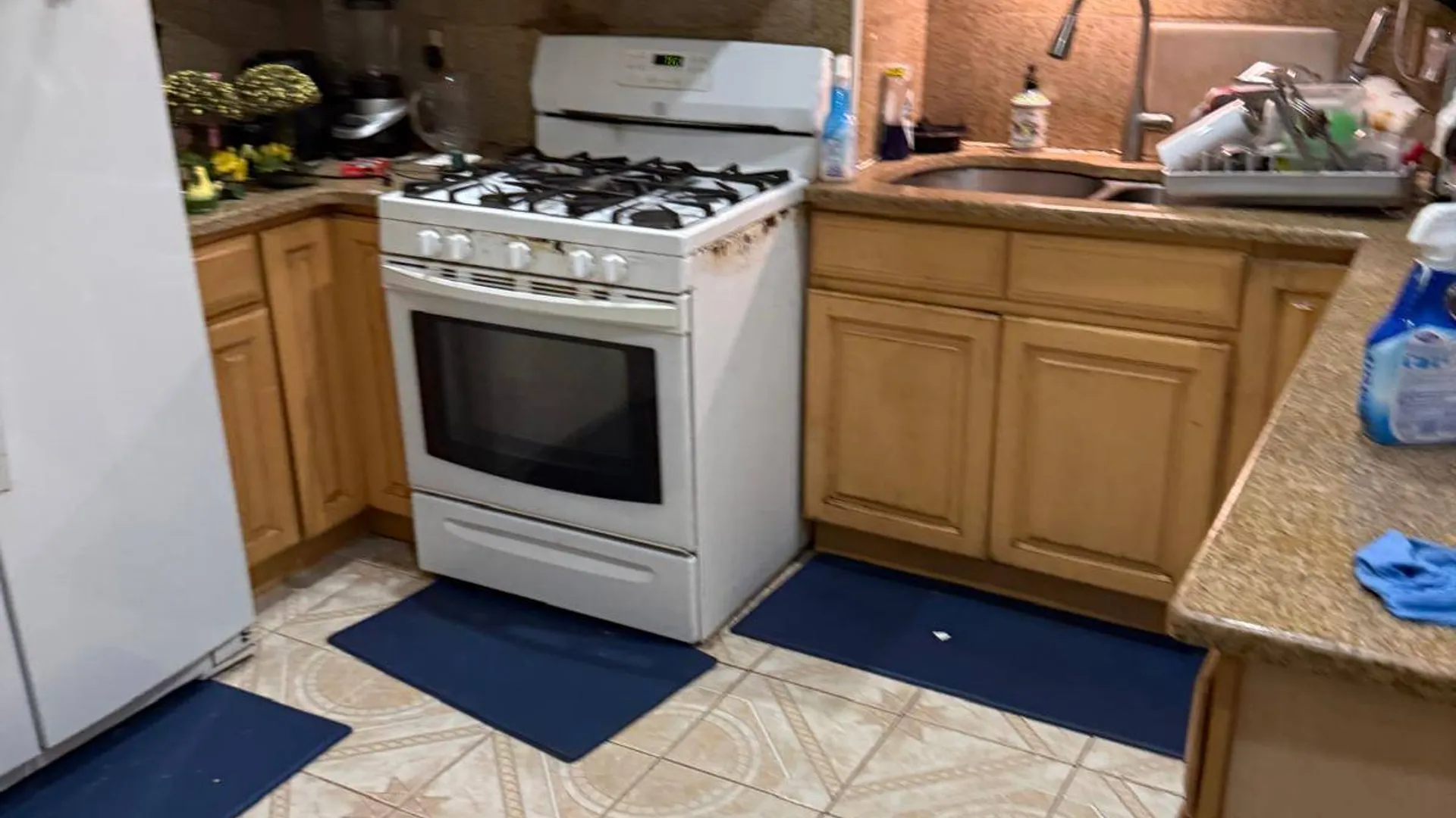 Property at 97-25 Remington Street, Jamaica, NY 11435 16