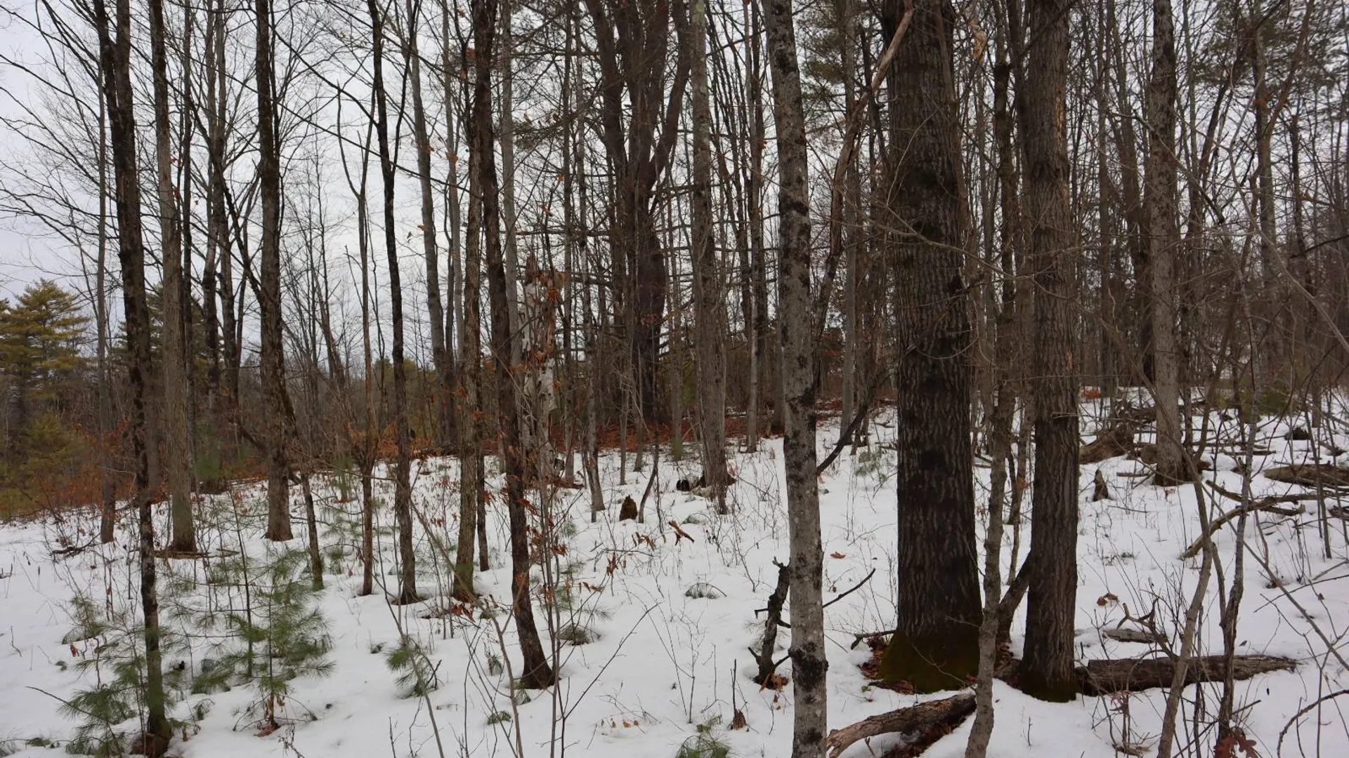 Property at 257 County Route 11, Whitehall, NY 12887 25