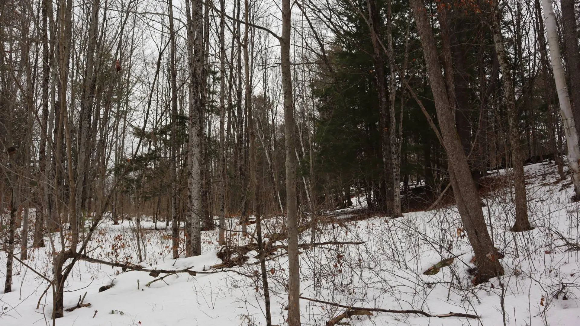 Property at 257 County Route 11, Whitehall, NY 12887 26