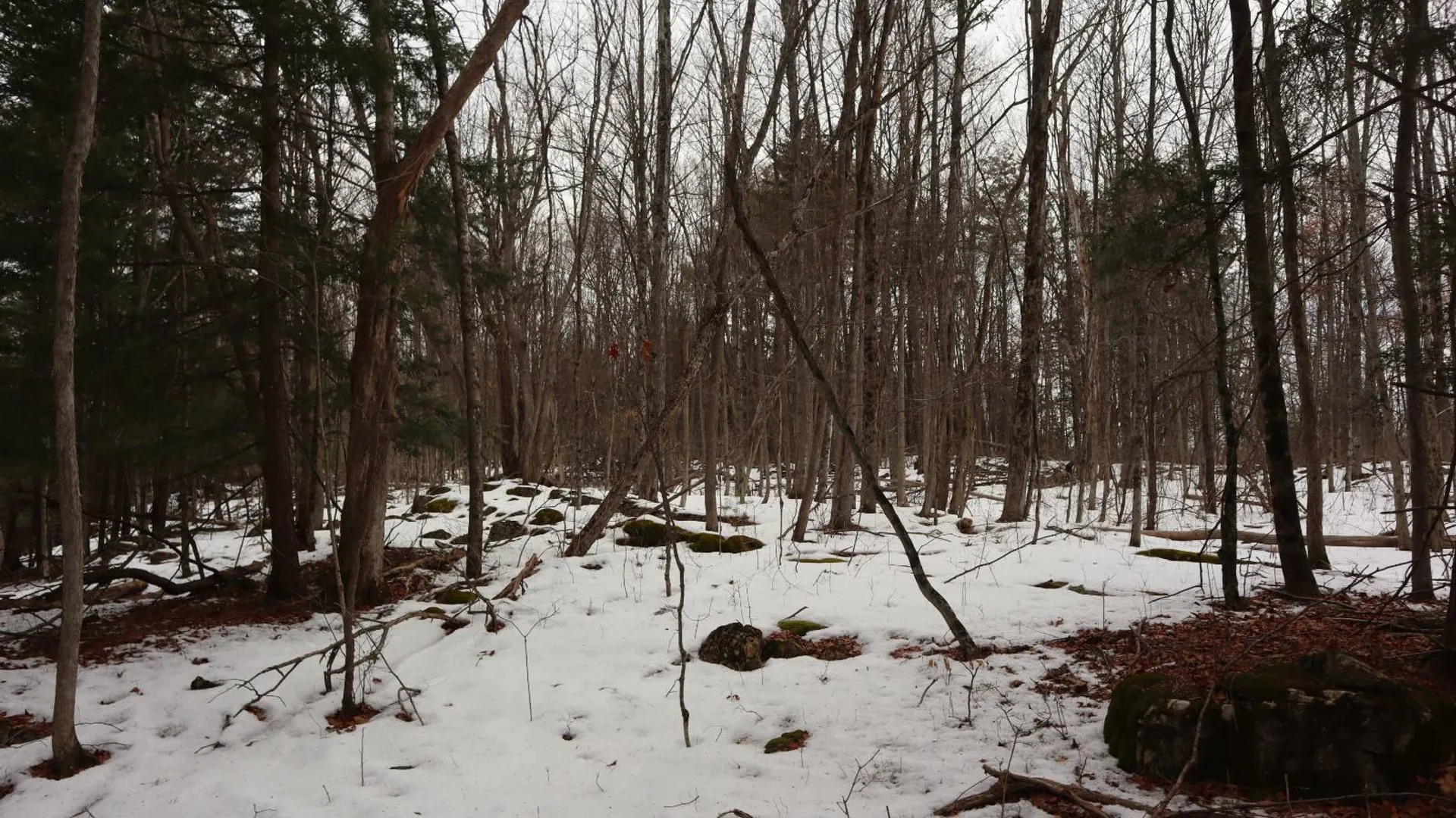 Property at 257 County Route 11, Whitehall, NY 12887 28