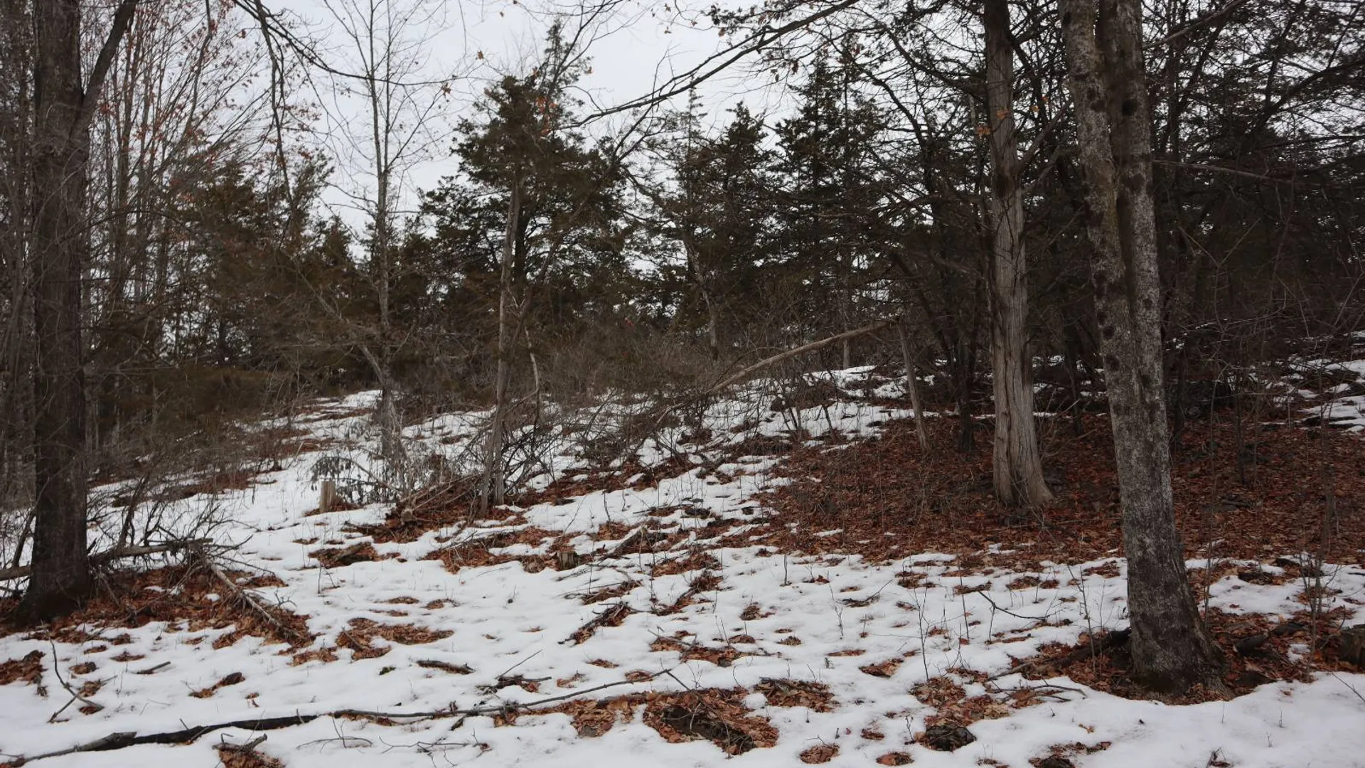 Property at 257 County Route 11, Whitehall, NY 12887 31