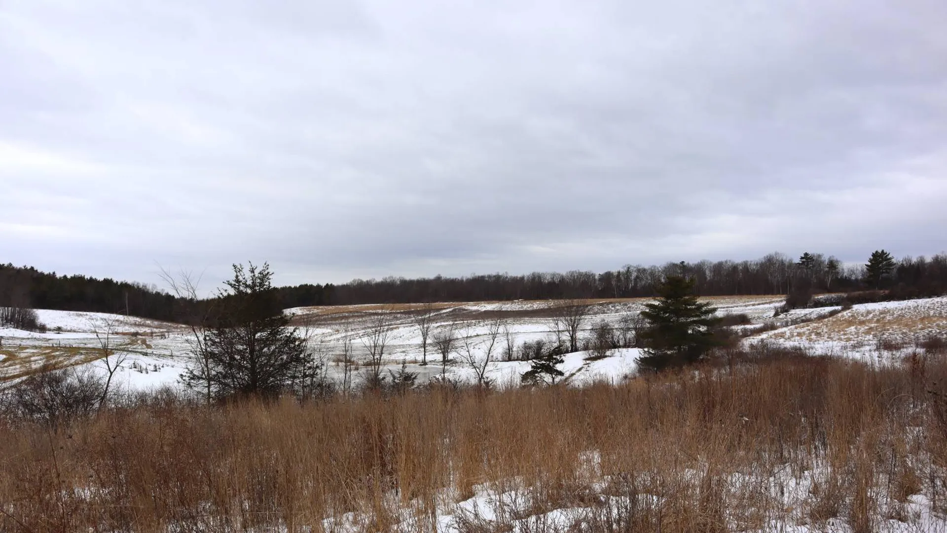 Property at 257 County Route 11, Whitehall, NY 12887 32