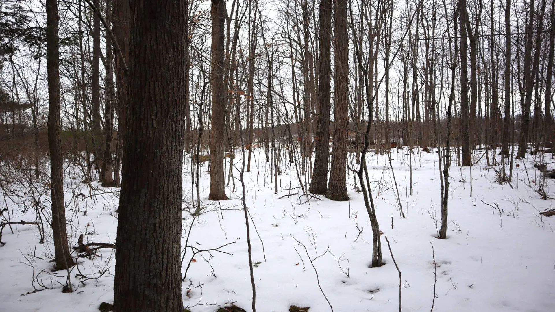 Property at 257 County Route 11, Whitehall, NY 12887 36