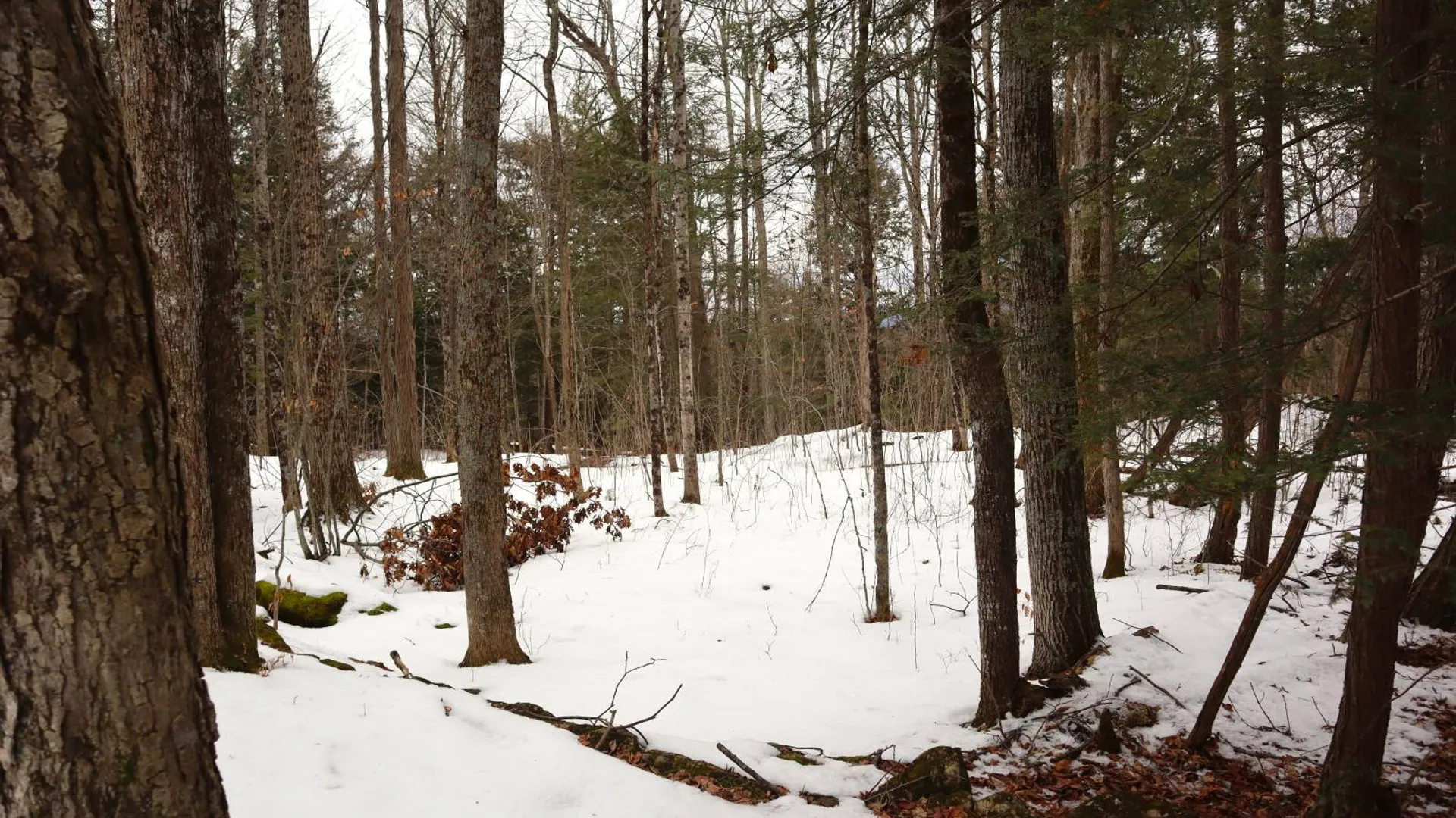 Property at 257 County Route 11, Whitehall, NY 12887 37