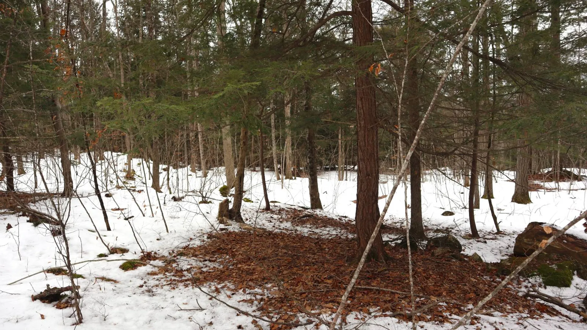 Property at 257 County Route 11, Whitehall, NY 12887 38