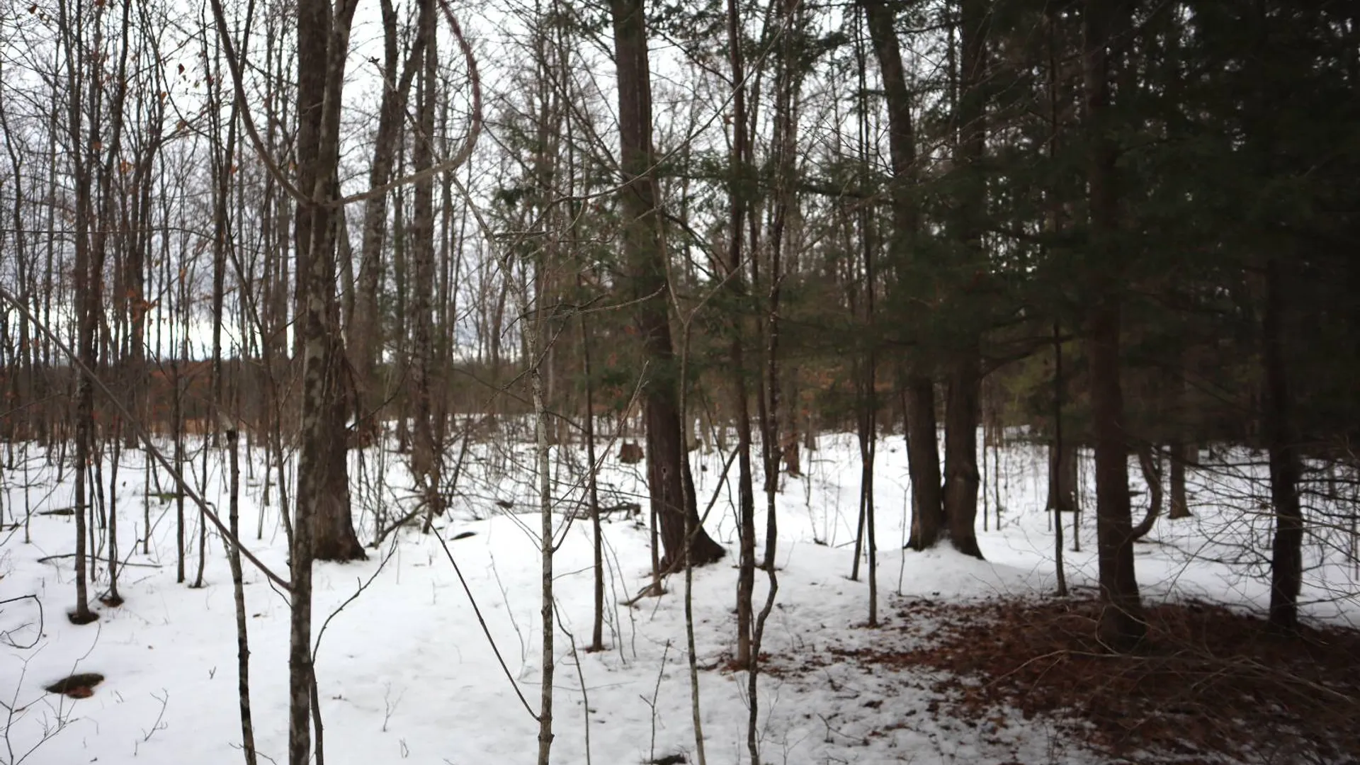 Property at 257 County Route 11, Whitehall, NY 12887 39