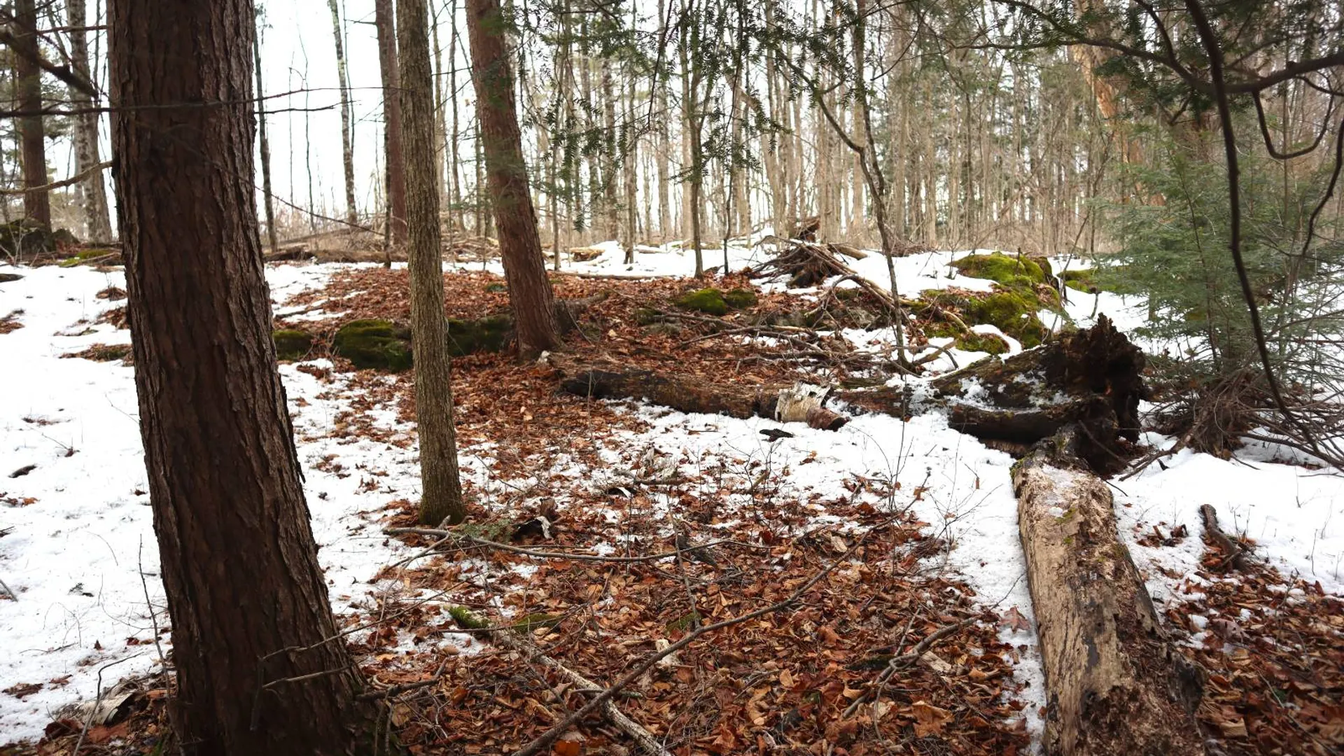 Property at 257 County Route 11, Whitehall, NY 12887 40