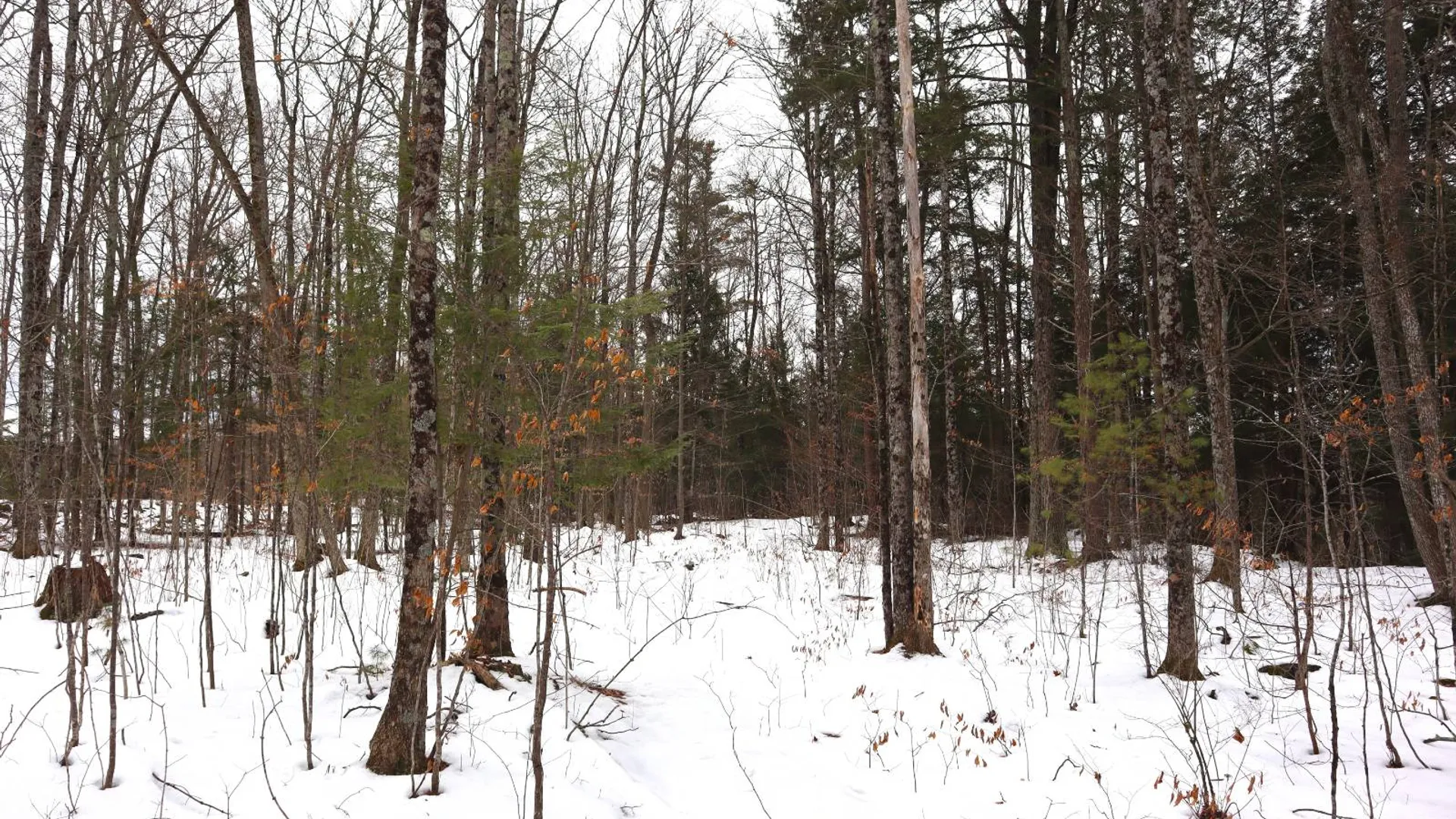 Property at 257 County Route 11, Whitehall, NY 12887 41