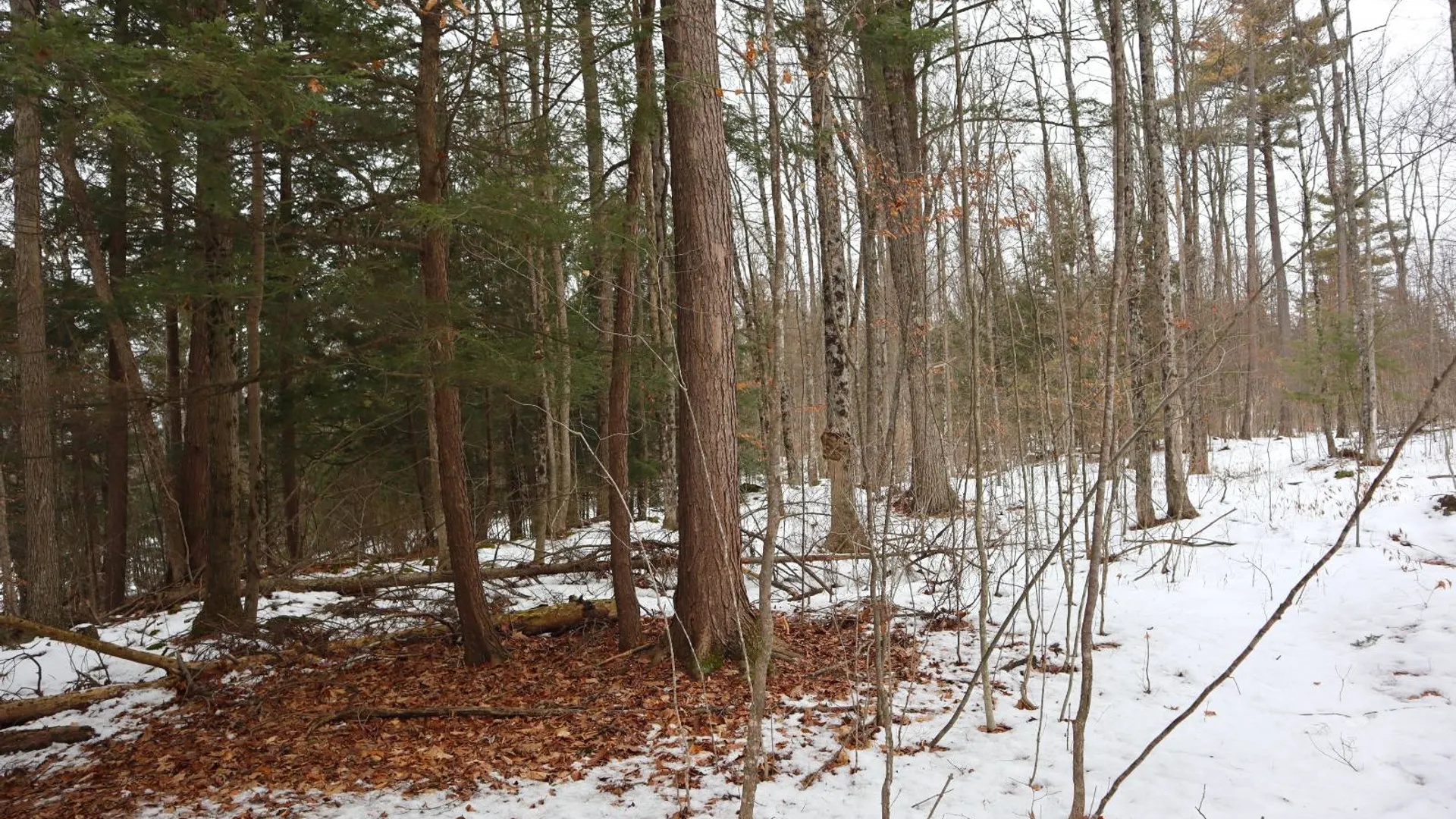 Property at 257 County Route 11, Whitehall, NY 12887 42